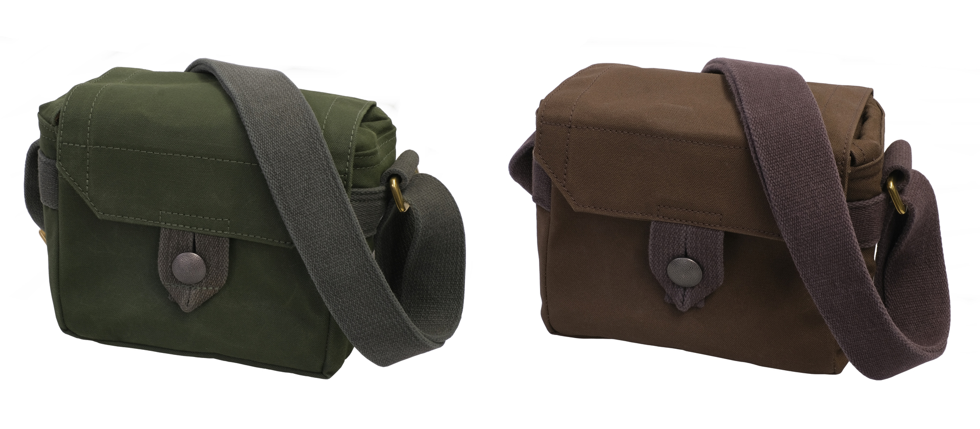 左がオーリブ、右がコヨーテ