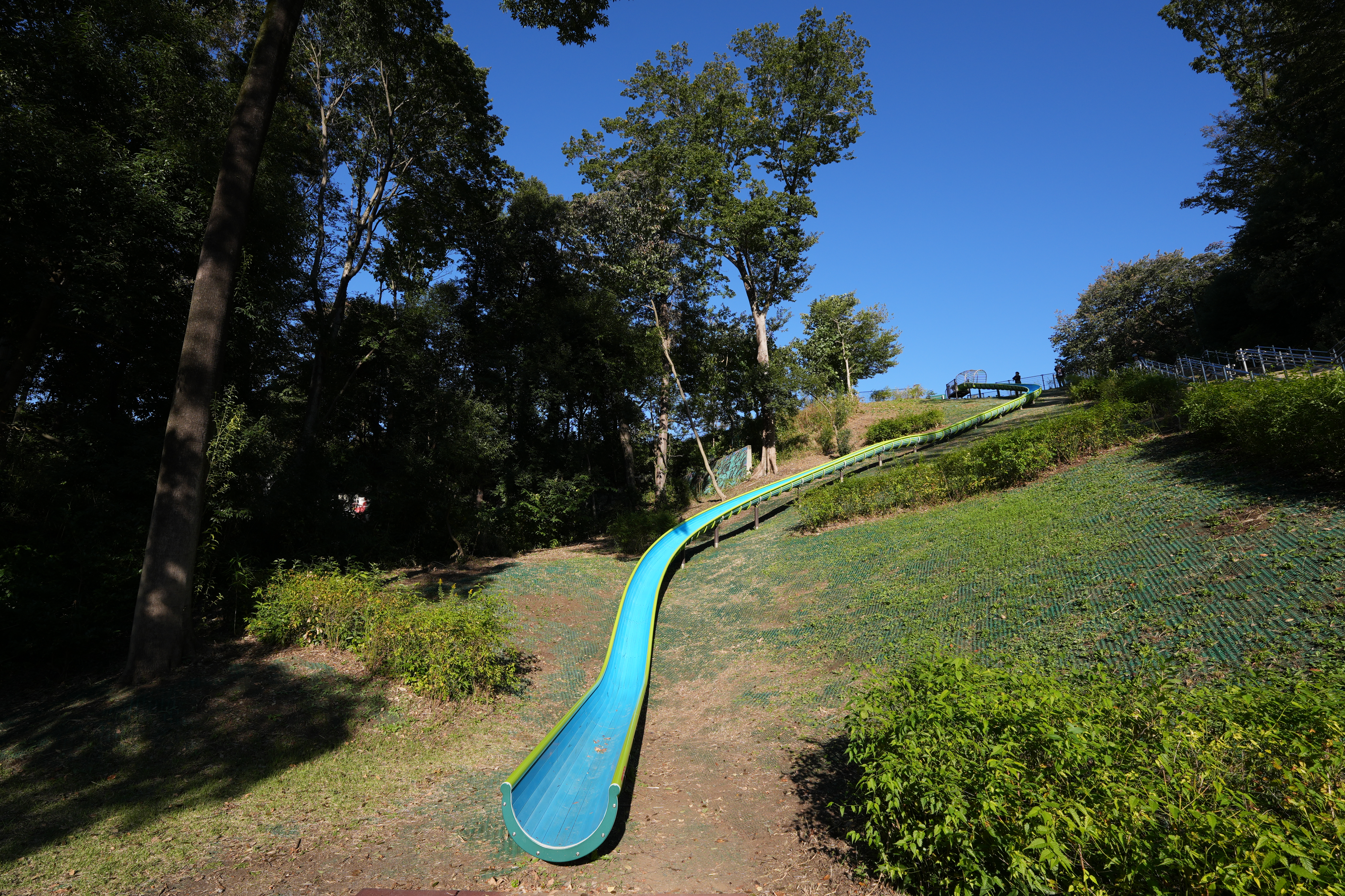 α6700／SIGMA 10-18mm F2.8 DC DN／10mm（15mm相当）／プログラムオート（1/200秒、F8.0、±0.0EV）／ISO 100