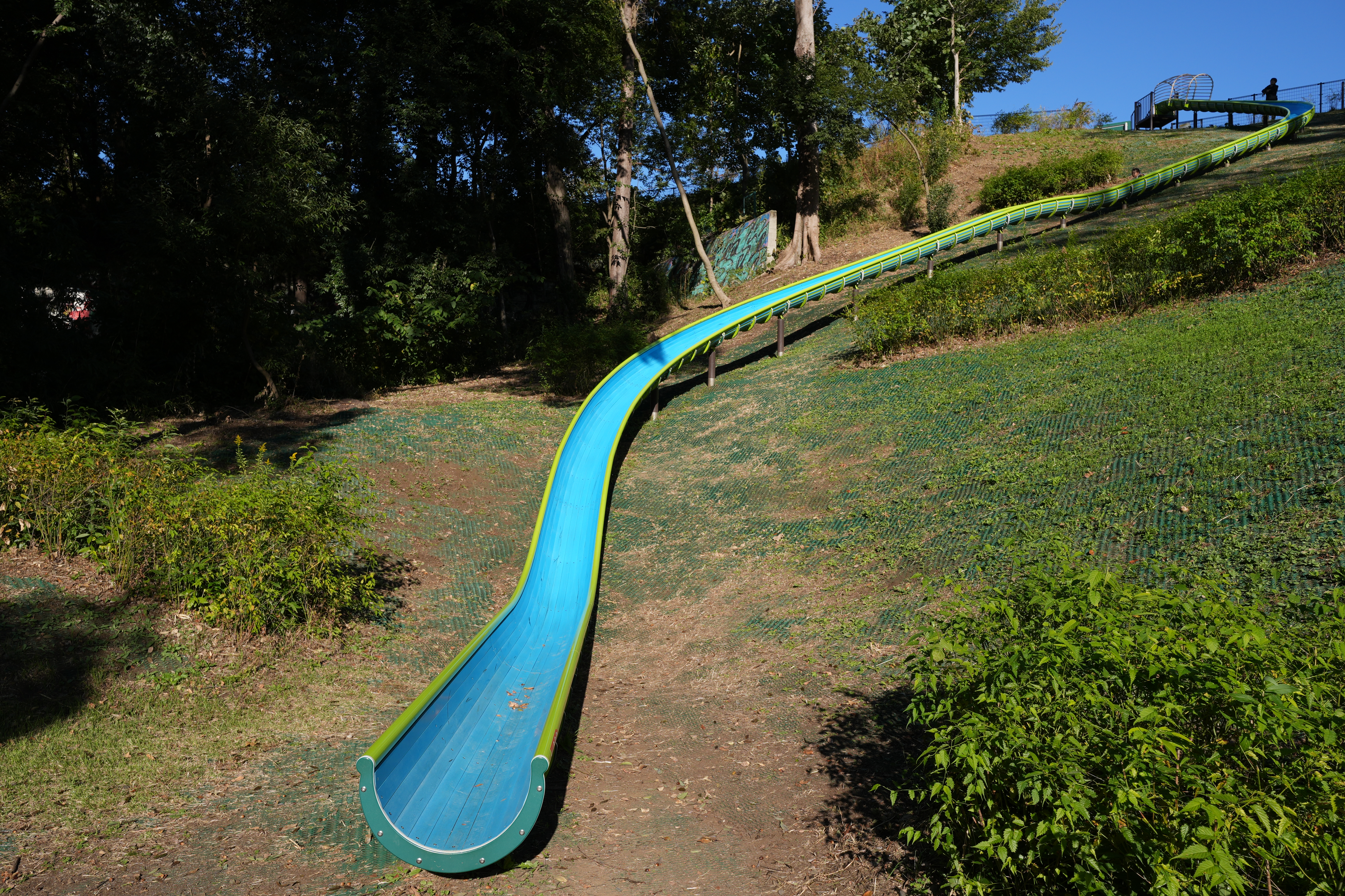 α6700／SIGMA 10-18mm F2.8 DC DN／18mm（27mm相当）／プログラムオート（1/250秒、F8.0、±0.0EV）／ISO 100