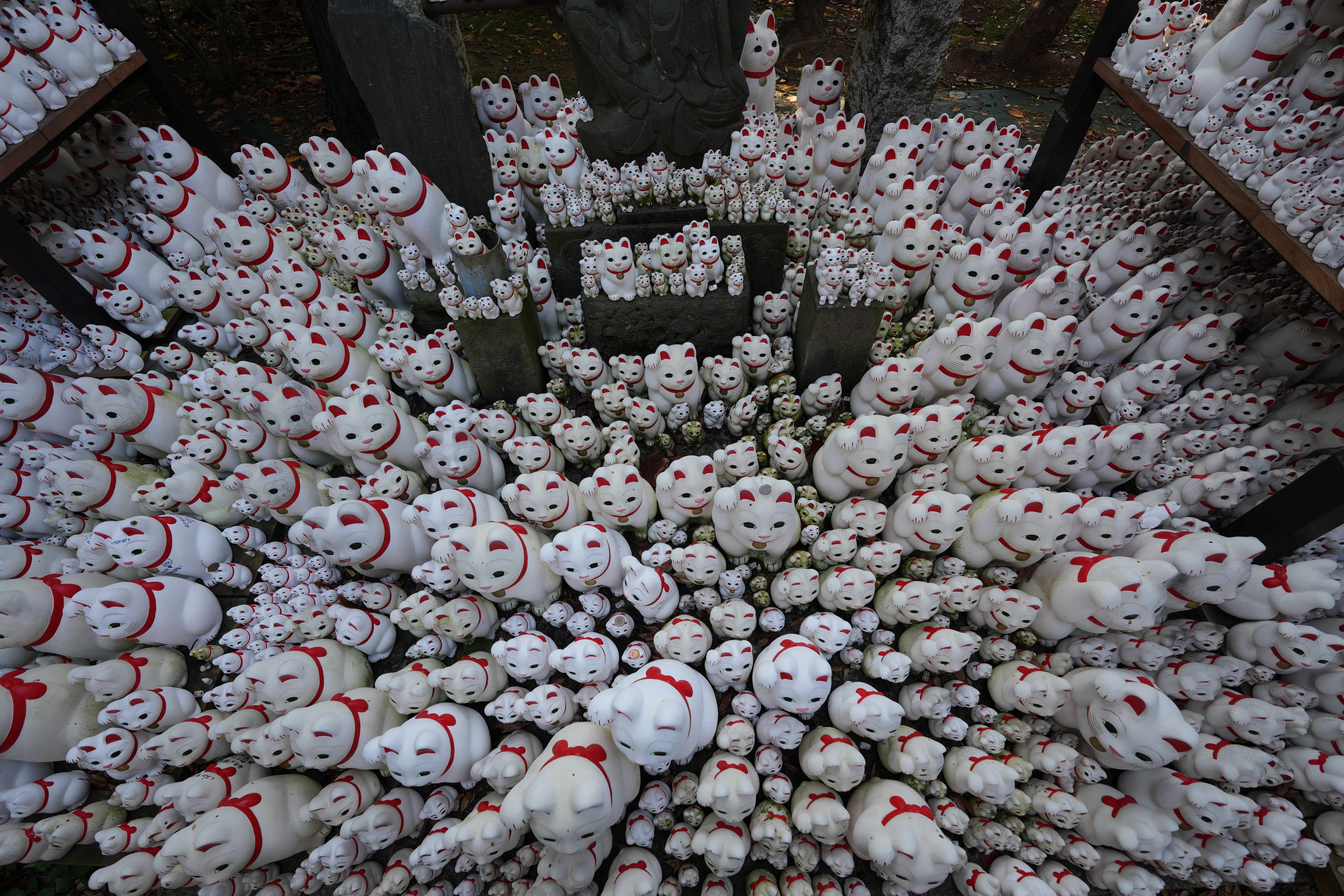 α6700／SIGMA 10-18mm F2.8 DC DN／10mm（15mm相当）／プログラムオート（1/60秒、F4.0、±0.0EV）／ISO 100