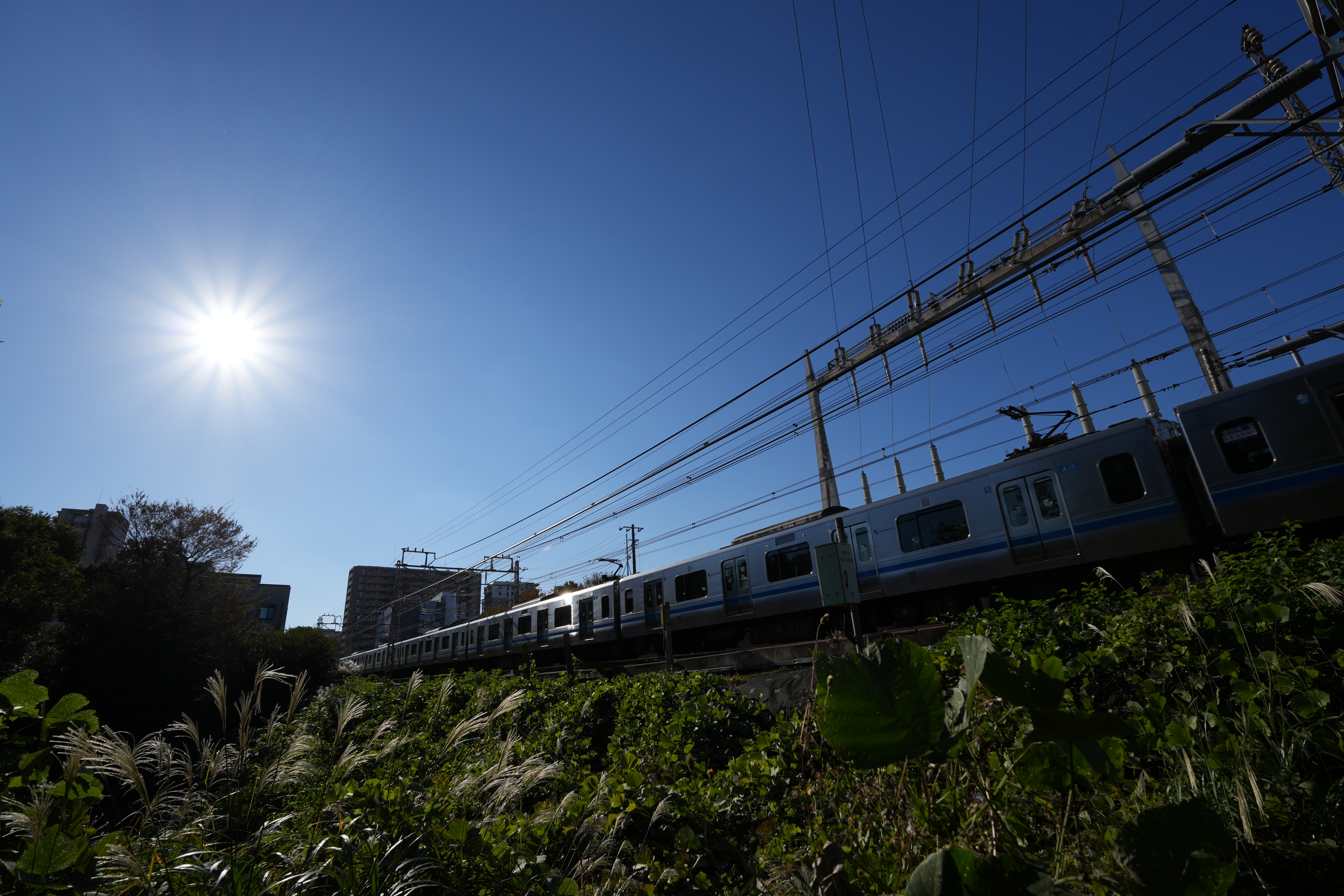 α6700／SIGMA 10-18mm F2.8 DC DN／10mm（15mm相当）／マニュアル露出（1/800秒、F8.0、−0.7EV）／ISO 100