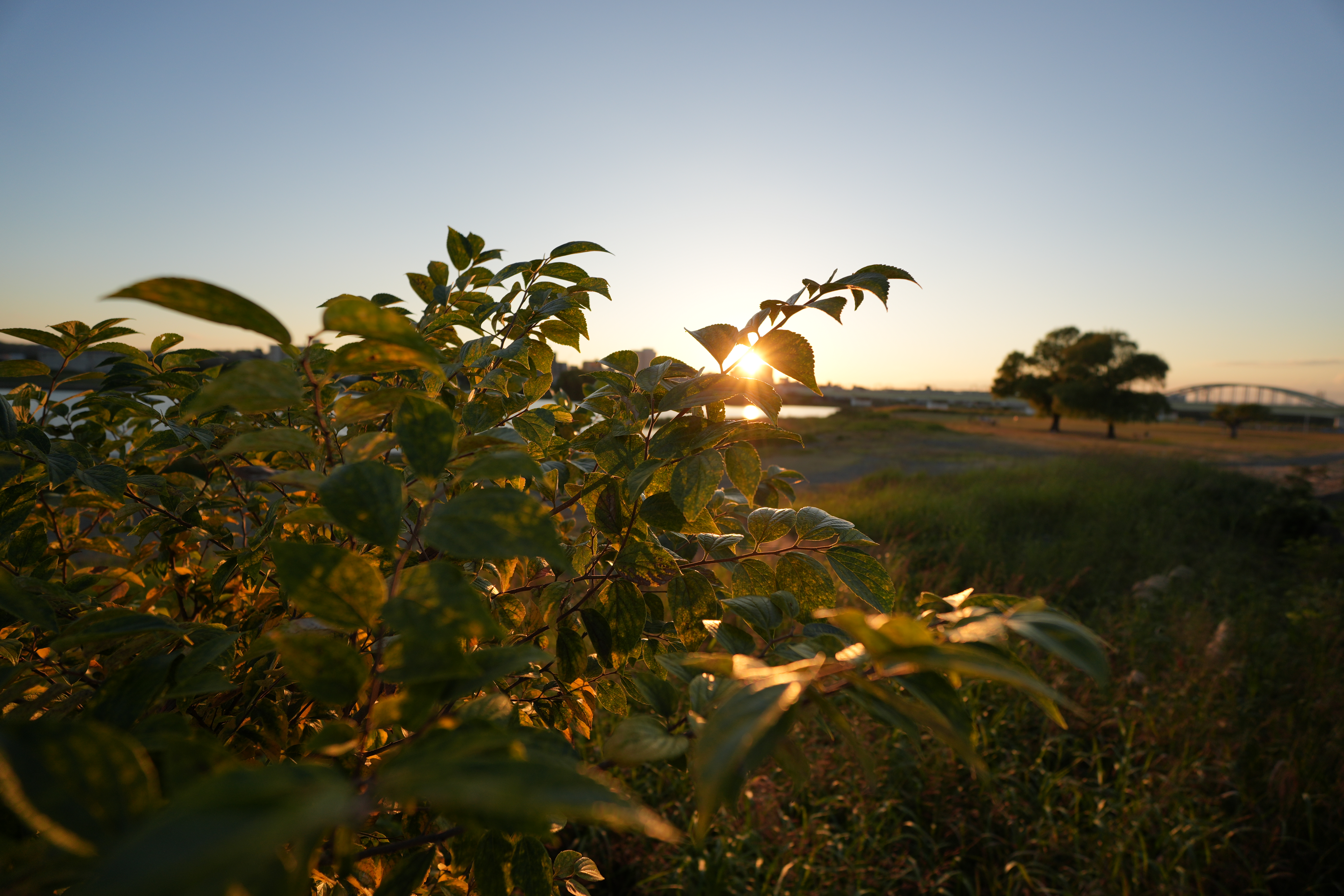 α6700／SIGMA 10-18mm F2.8 DC DN／10mm（15mm相当）／絞り優先AE（1/800秒、F2.8、−0.3EV）／ISO 100