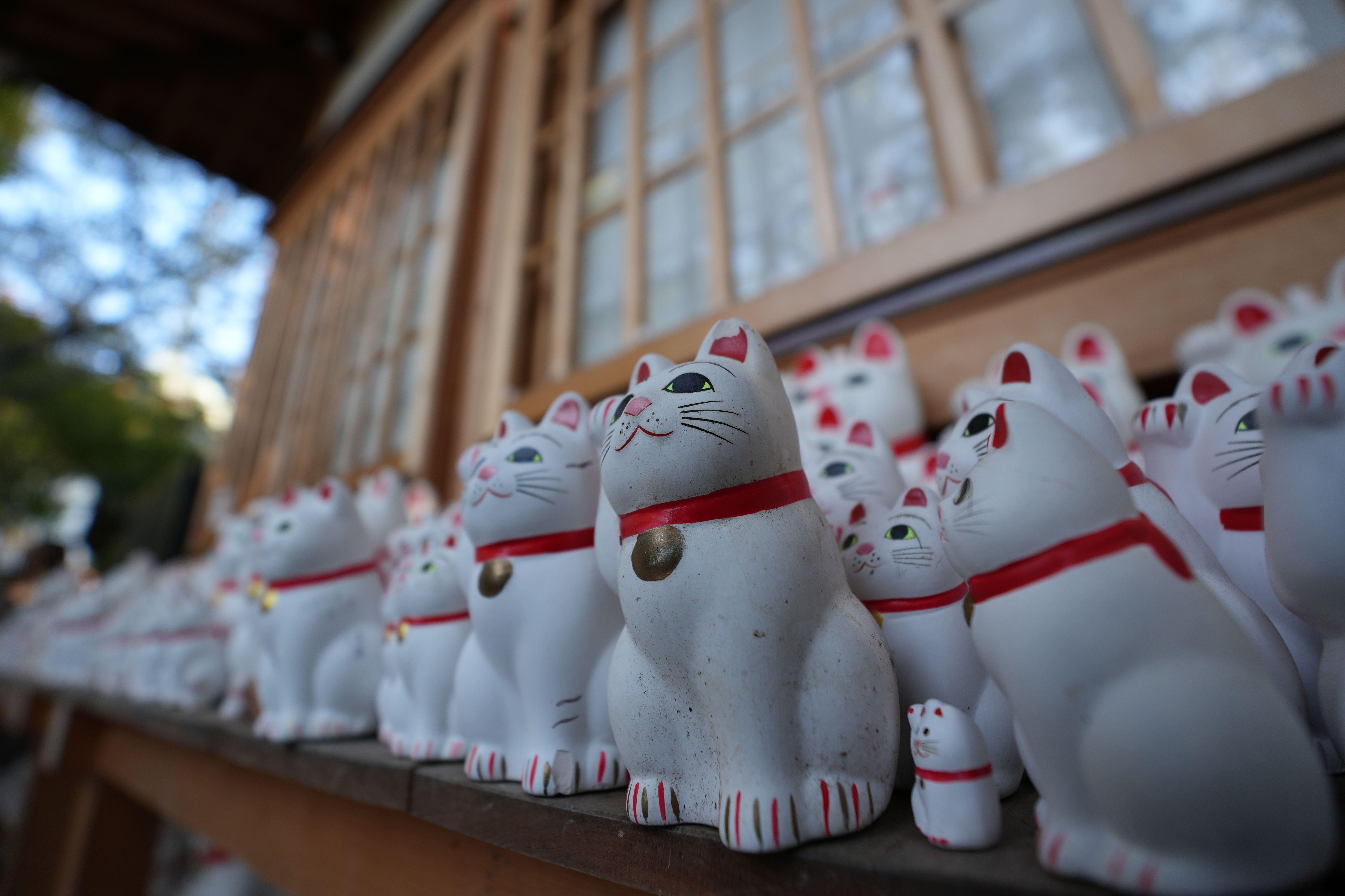 α6700／SIGMA 10-18mm F2.8 DC DN／10mm（15mm相当）／絞り優先AE（1/160秒、F2.8、±0.0EV）／ISO 100