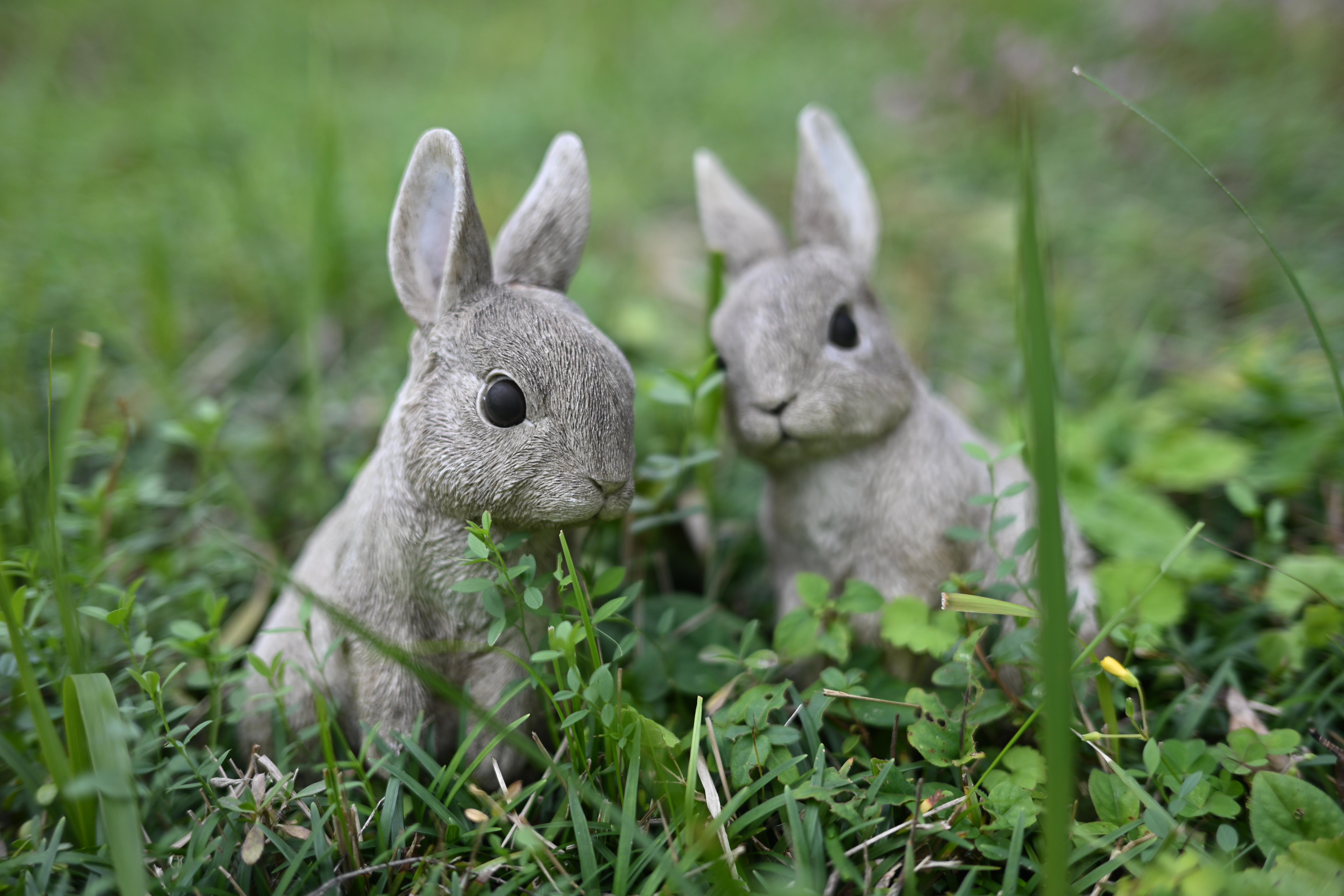 Z f／NIKKOR Z 40mm f/2（SE）／絞り優先AE（1/250秒、F2.0、−0.3EV）／ISO 100