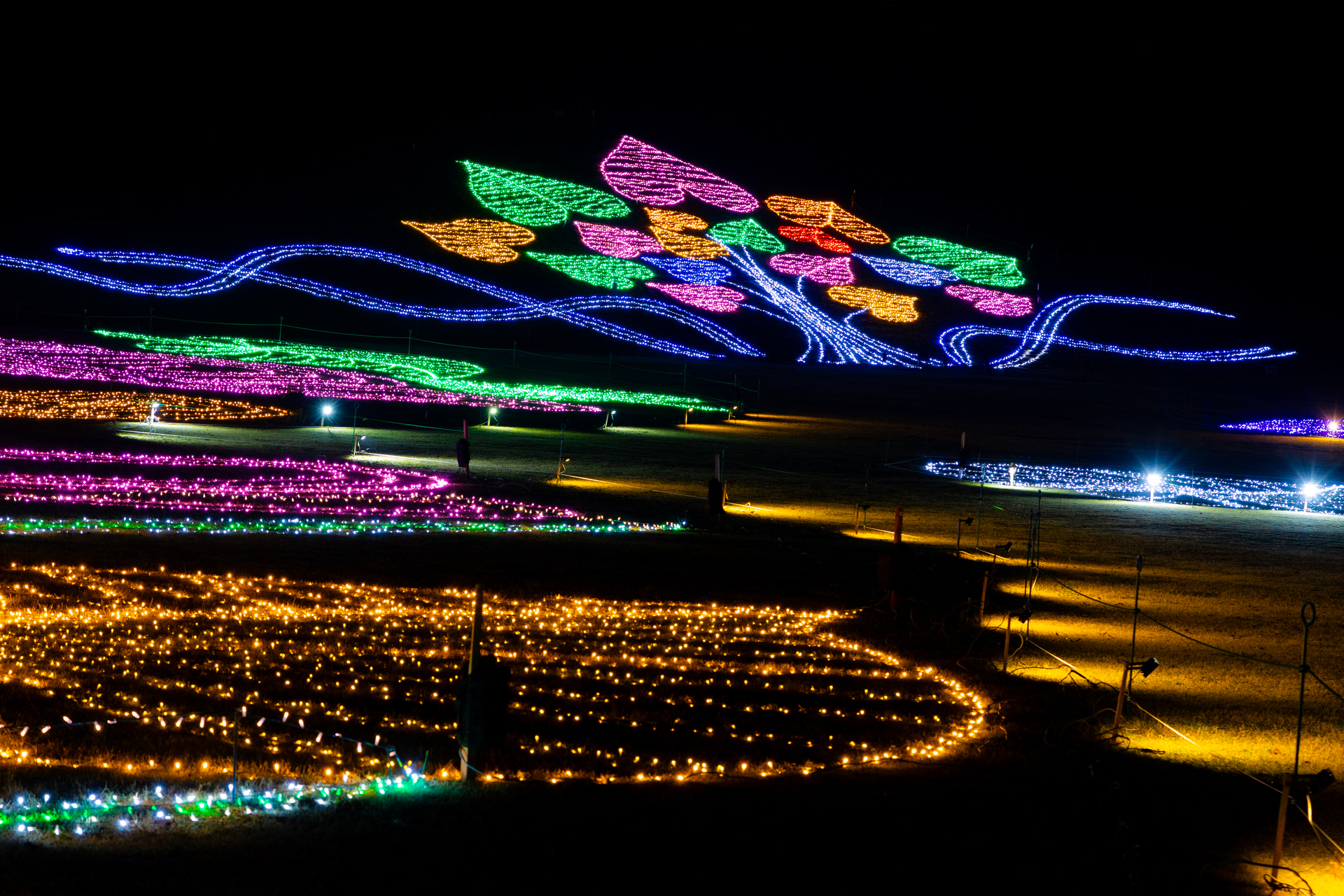 グランドイルミネーション