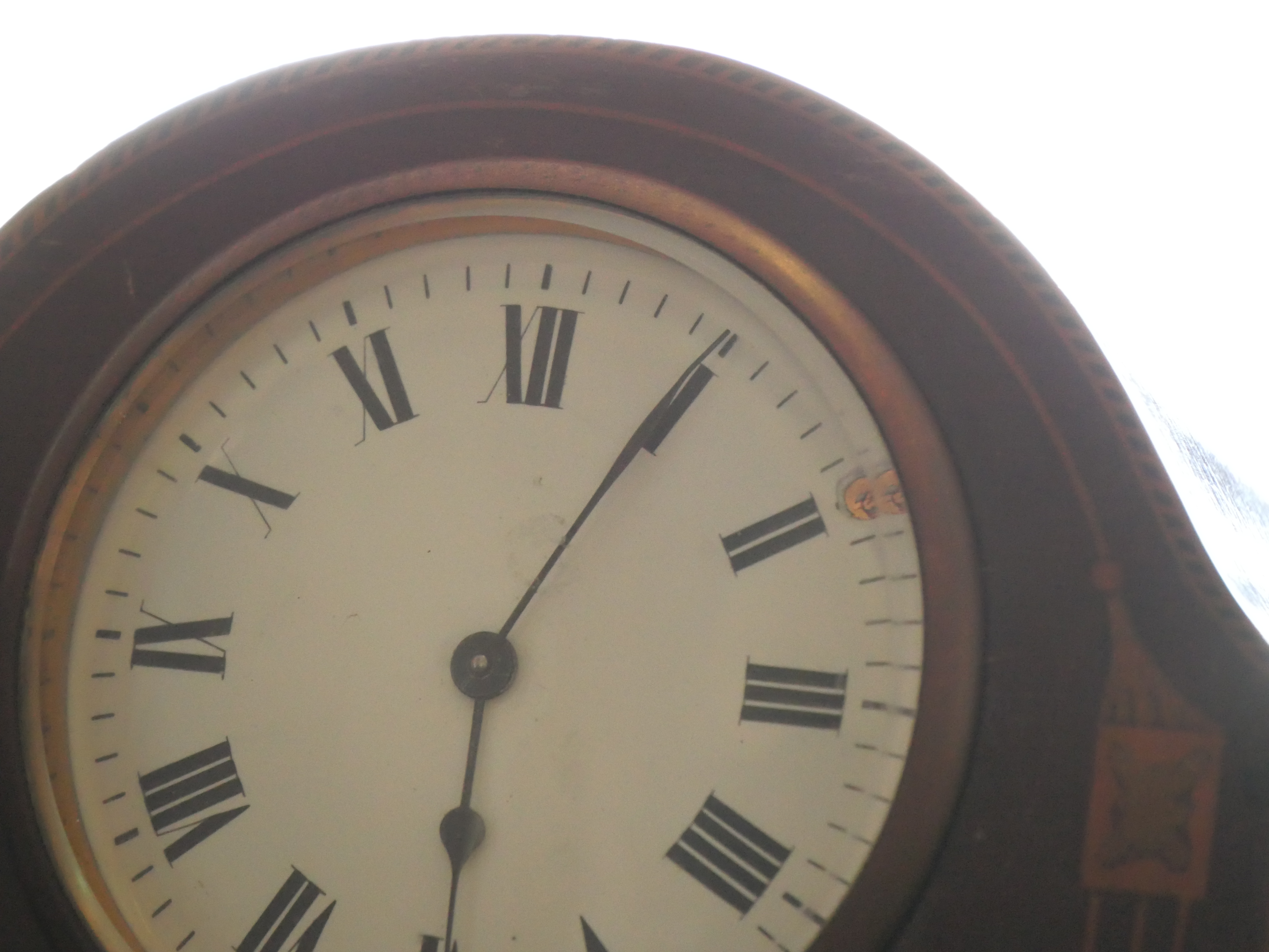 LUMIX G100D／LUMIX G VARIO 45-150mm / F4.0-5.6 ASPH. / MEGA O.I.S.／150mm相当／絞り優先（F5.6・1/80秒）／ISO 6400