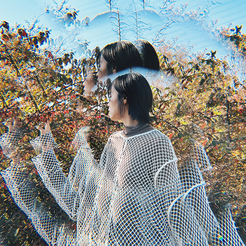 作例（Story&Eureka株式会社）