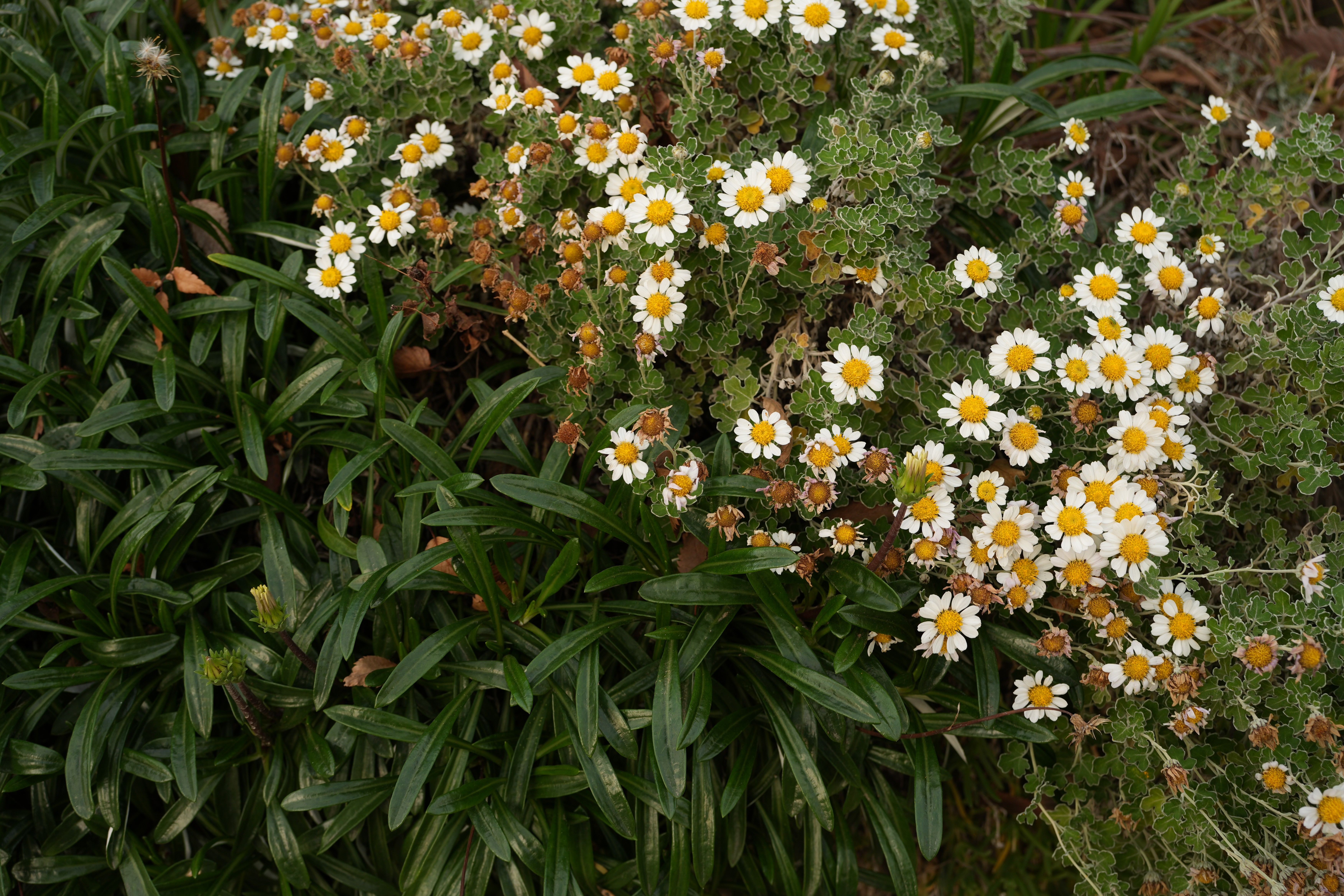 α7 IV／FE 40mm F2.5 G／絞り優先AE（1/40秒、F5.6、−0.7EV）／ISO 100