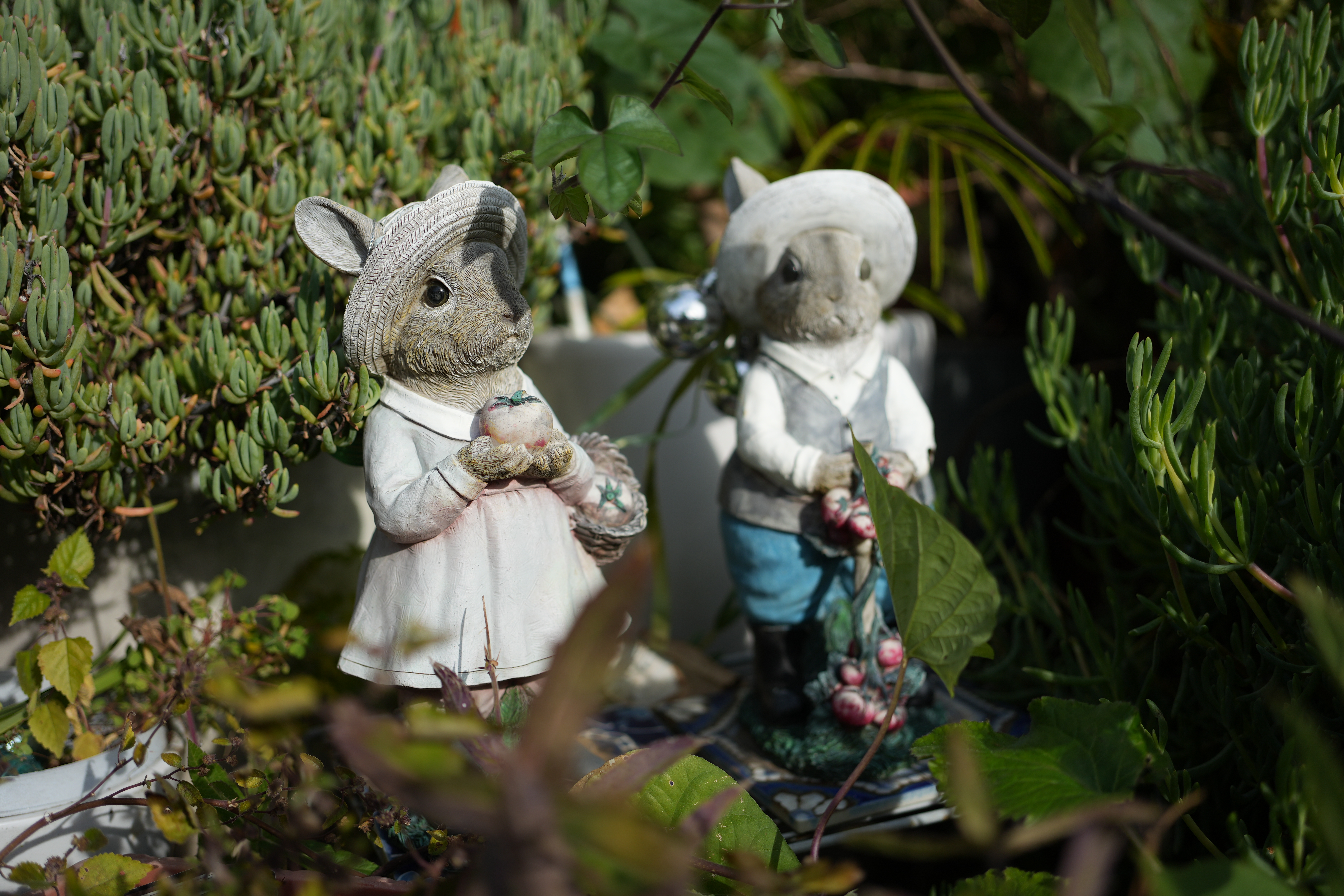 α7 IV／FE 40mm F2.5 G／絞り優先AE（1/2,000秒、F2.5、−0.3EV）／ISO 100