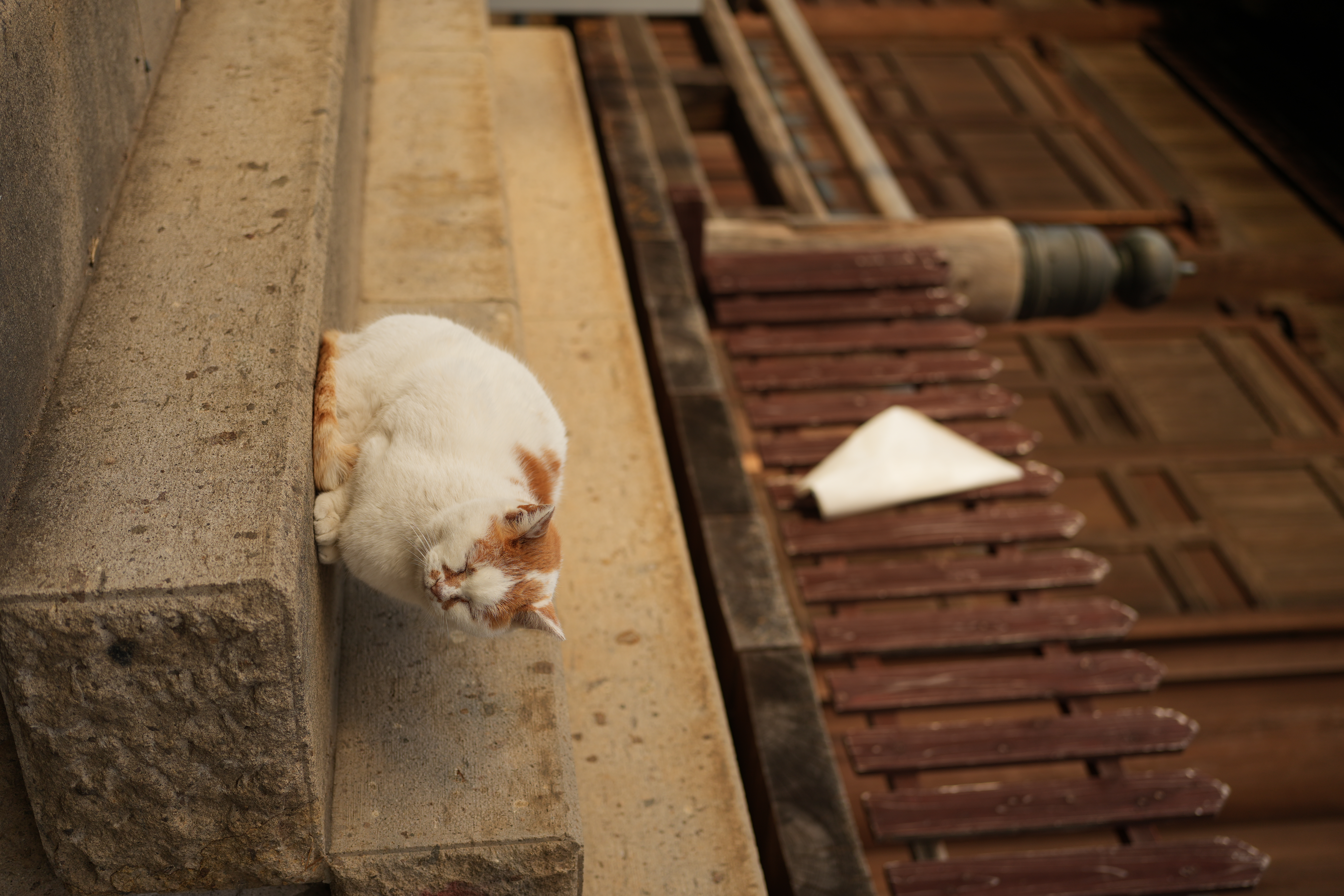 α7 IV／FE 40mm F2.5 G／絞り優先AE（1/400秒、F2.8、−0.3EV）／ISO 100