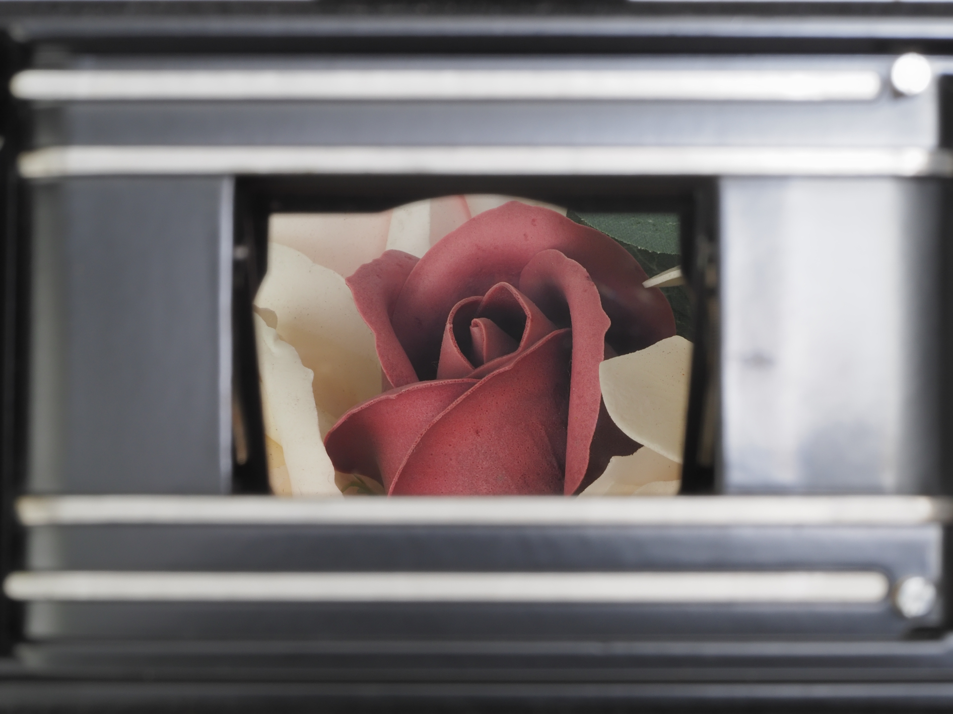 レンズを外して、裏蓋を開けて、シャッターをバルブにしてみました。半透明ですから、あたりまえですが、レンズ位置前にあるものはそのまま見える理屈であります。ペリクルミラー搭載機はすべて同じですね