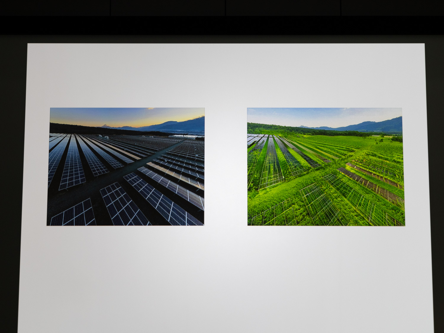 放棄された太陽光パネルのイメージ。近い将来に起こりうる事態に目を向けてほしいとした