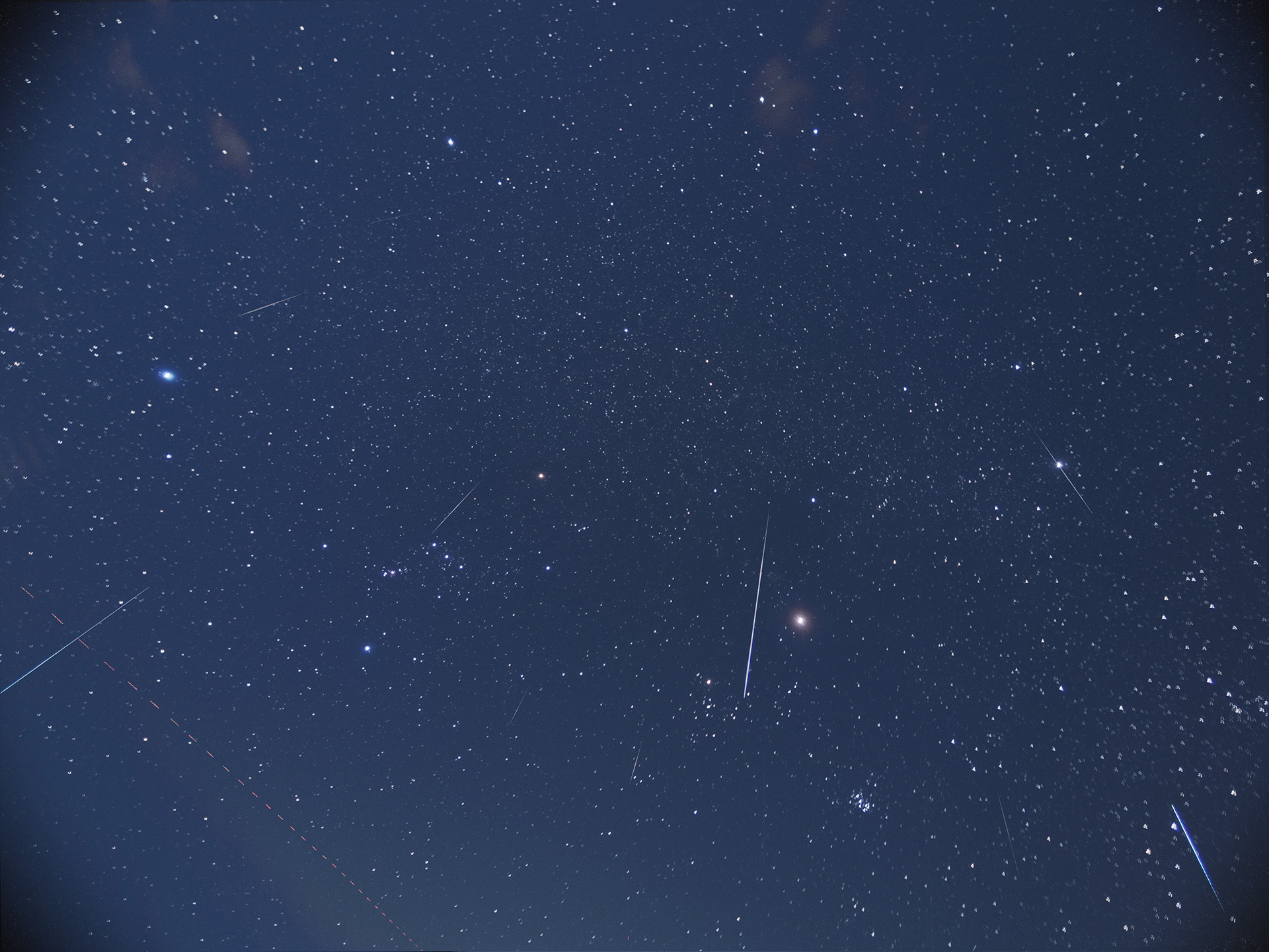 ふたご座流星群（放射点方向から広がるように流れる流星）／画像提供：国立天文台