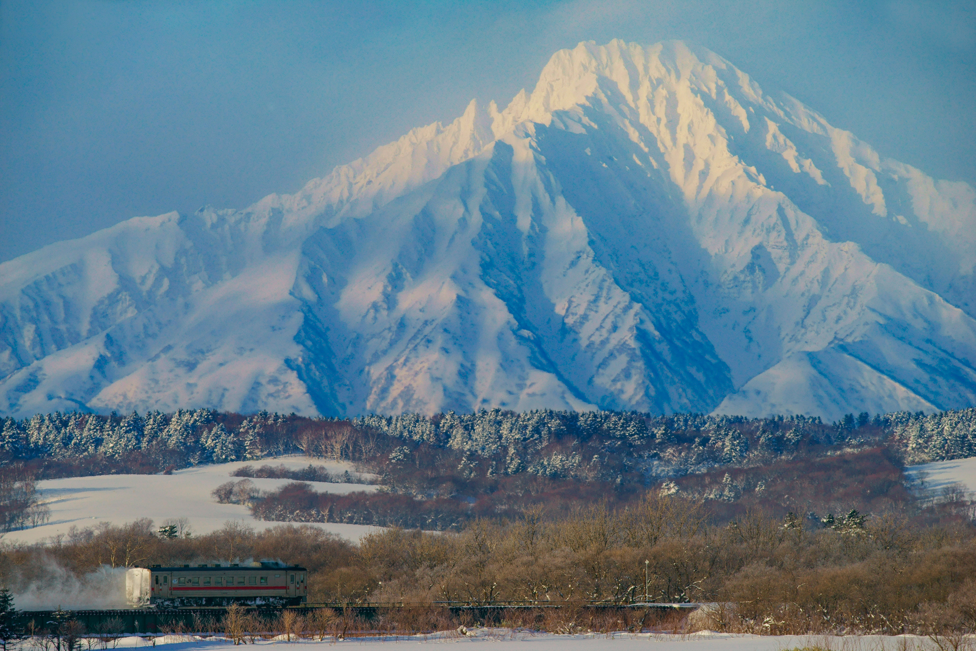ソニーα7R／500mm F4 G SSM／絞り優先オート（F8・1/1,000秒）／ISO 200／WB:オート