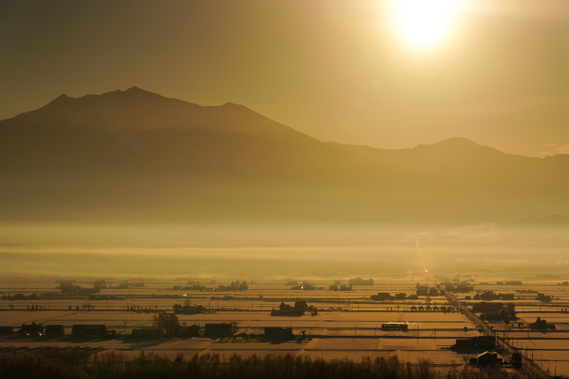 ソニーα7R IV／FE 70-200mm F2.8 GM OSS／絞り優先オート（110mm・F6.3・1/8,000秒）／ISO 200／WB:日陰