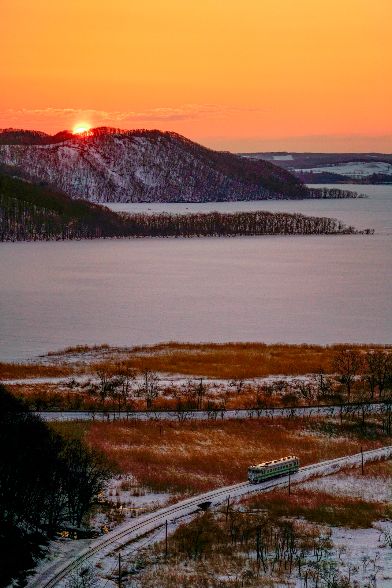 ソニーα7R II／FE 70-200mm F4 G OSS／絞り優先オート（131mm・F4・1/3,200秒）／ISO 800／WB:日陰