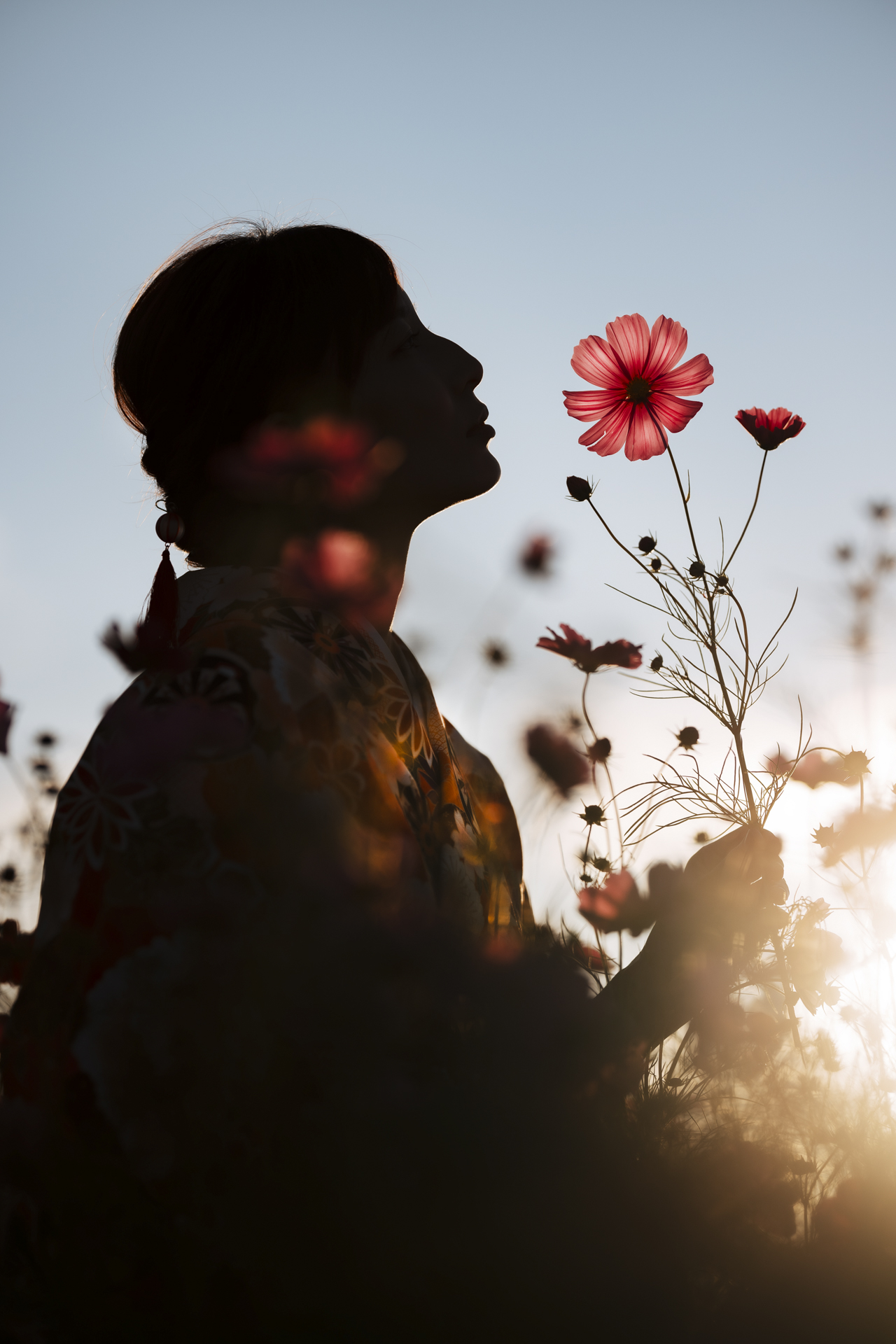 真逆光のポートレート。強い光にも耐えられるコーティングで、隅々まで美しく描写されている。透けたコスモスと光の当たった着物の柄に注目してほしい<br><span class="fnt-85">Z 9／NIKKOR Z 135mm f/1.8 S Plena／マニュアル露出（1/8,000秒、F1.8）／ISO 64</span>