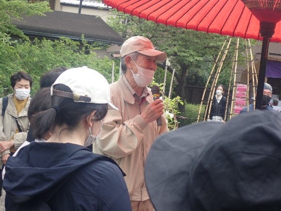 野草ウォッチング