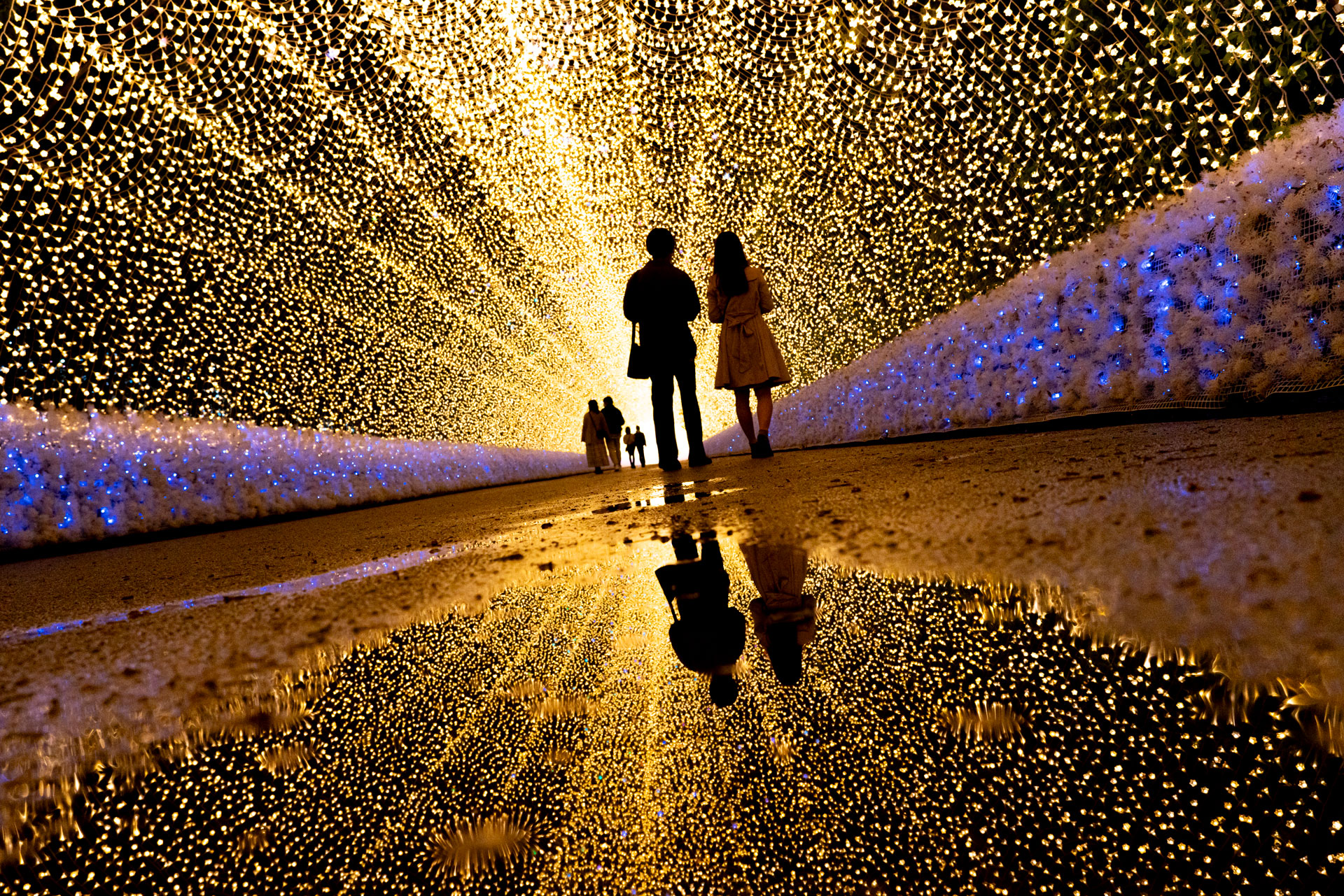 α7R III／FE 24-105mm F4 G OSS／24mm／絞り優先AE（1/250秒・F6.3・-1.0EV）／ISO 1600／WB：オート	https://ganref.jp/m/bitmlm/portfolios/photo_detail/5259760