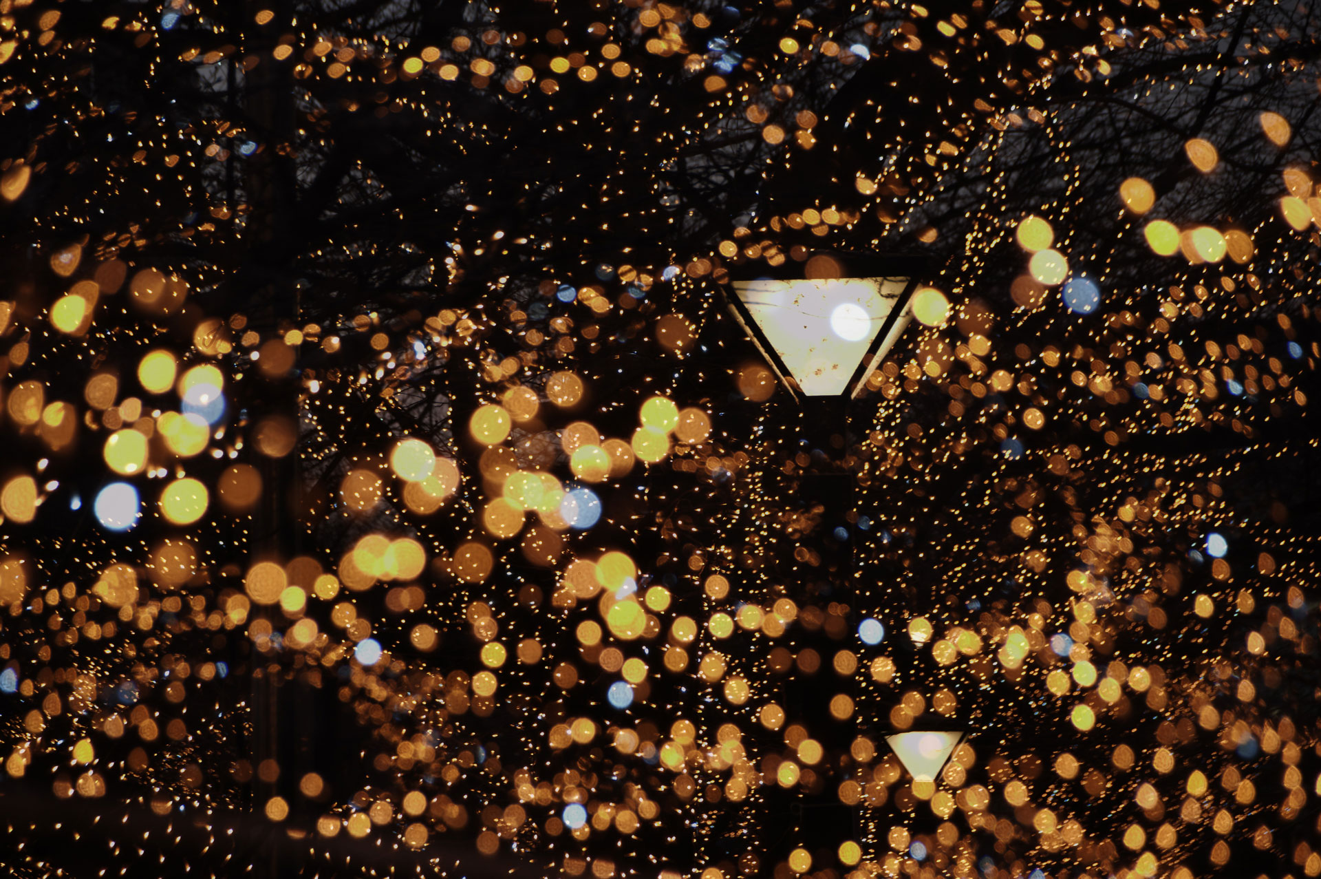 PENTAX K-3／SIGMA 18-250mm F3.5-6.3 DC MACRO OS HSM／105mm／絞り優先AE（1/30秒・F5.6・-0.3EV）／ISO 800／WB：Daylight	https://ganref.jp/m/47-74450/portfolios/photo_detail/4302373