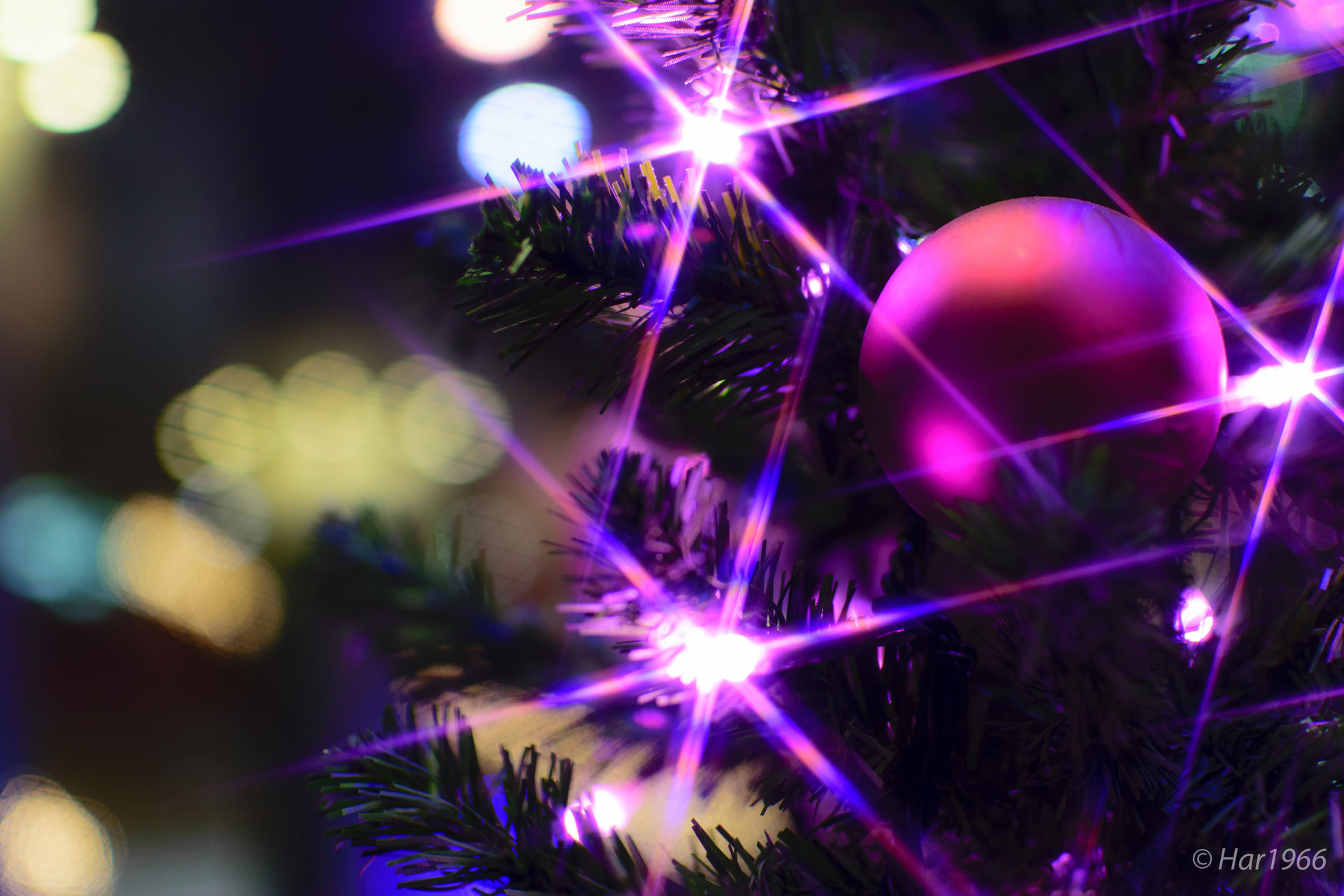 D5300／AF-S DX NIKKOR 35mm f/1.8G／35mm／絞り優先AE（1/30秒・F1.8・-0.7EV）／ISO 320／WB：オート	https://ganref.jp/m/har1966/portfolios/photo_detail/2562186