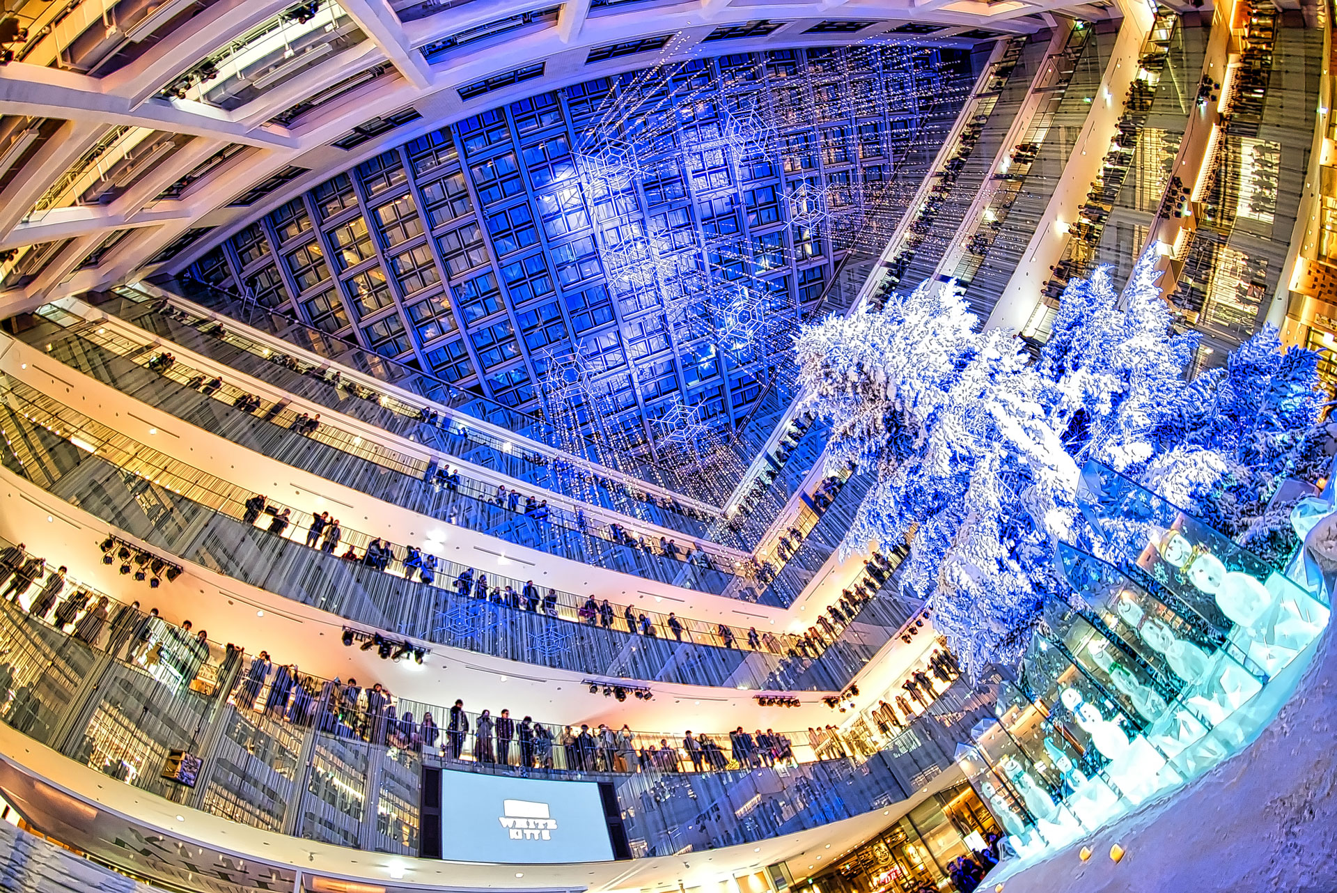 α7S II／SAMYANG 12mm F2.8 ED AS NCS FISH-EYE／12mm／絞り優先AE（1/50秒・F2.8・＋0.7EV）／ISO 1600／	https://ganref.jp/m/tetra-angel/portfolios/photo_detail/2905965