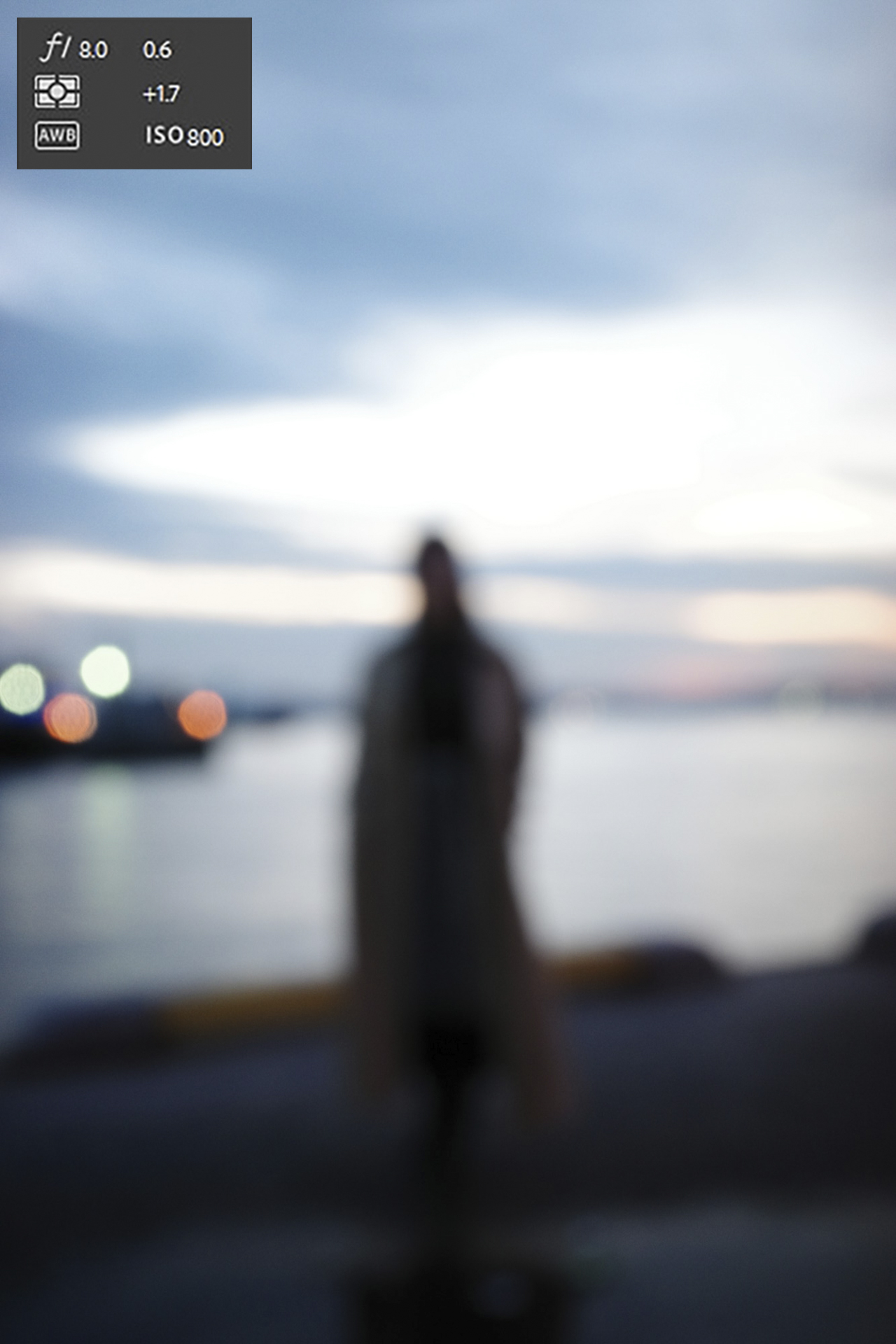 RICOH GR III使用。あえてぼかし、雰囲気を表現する