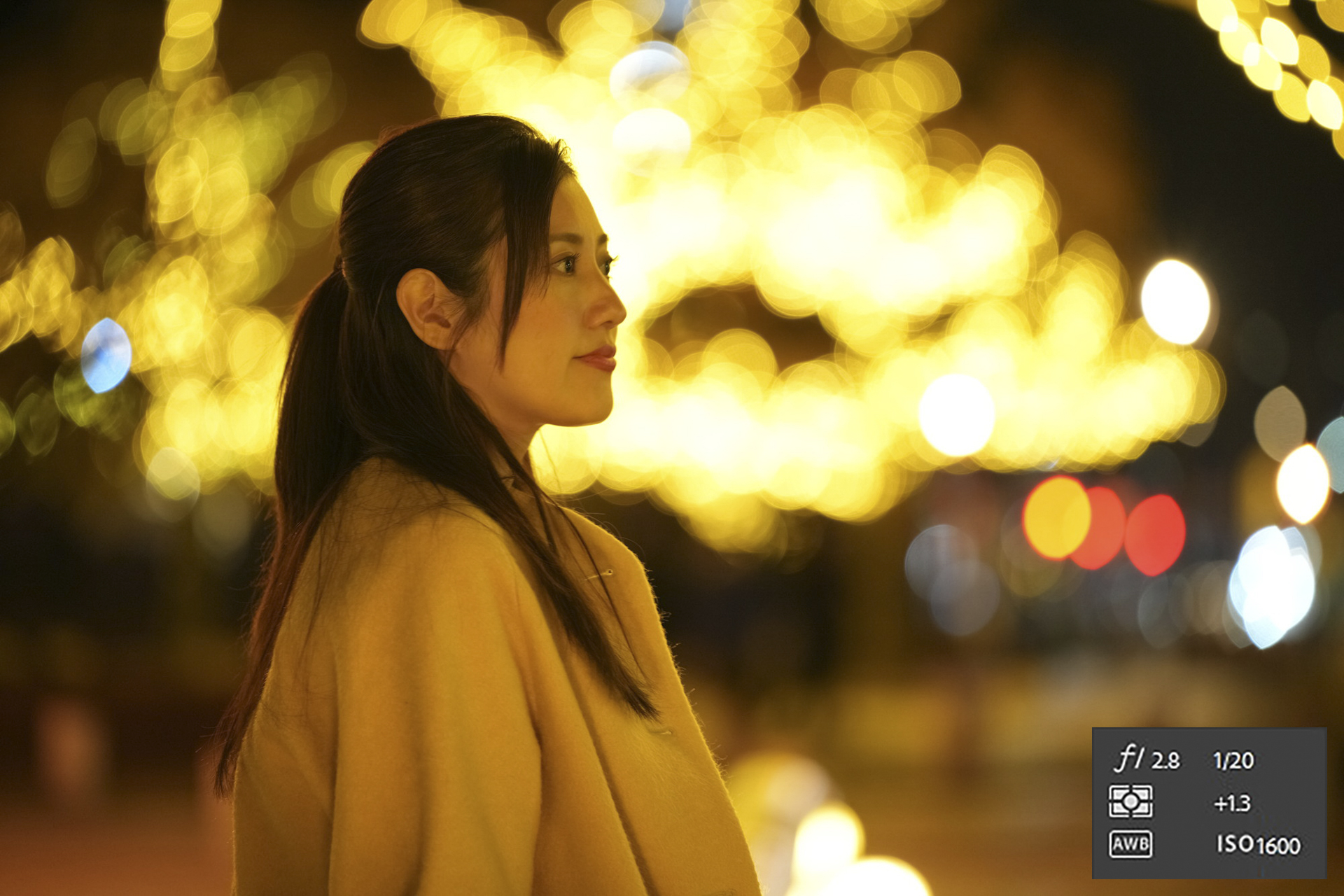 ソニーα1／FE 70-200mm F2.8 GM OSS II使用