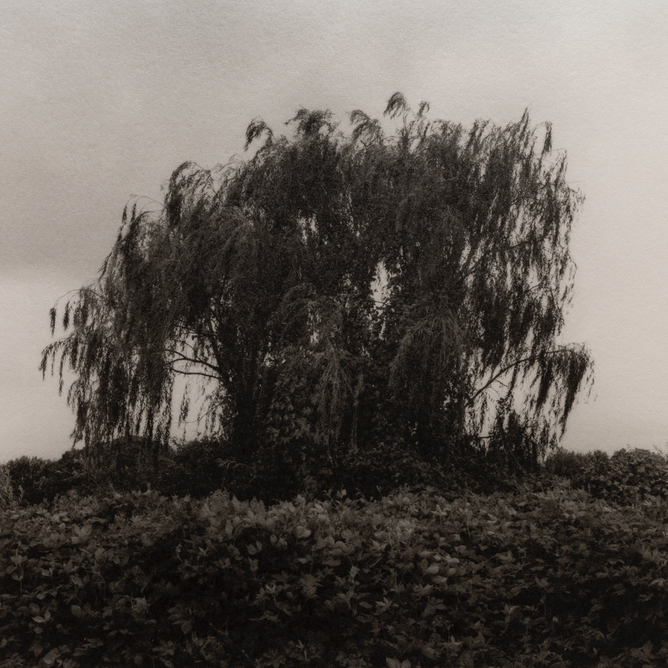 （c）2023 Kazuyuki Okajima