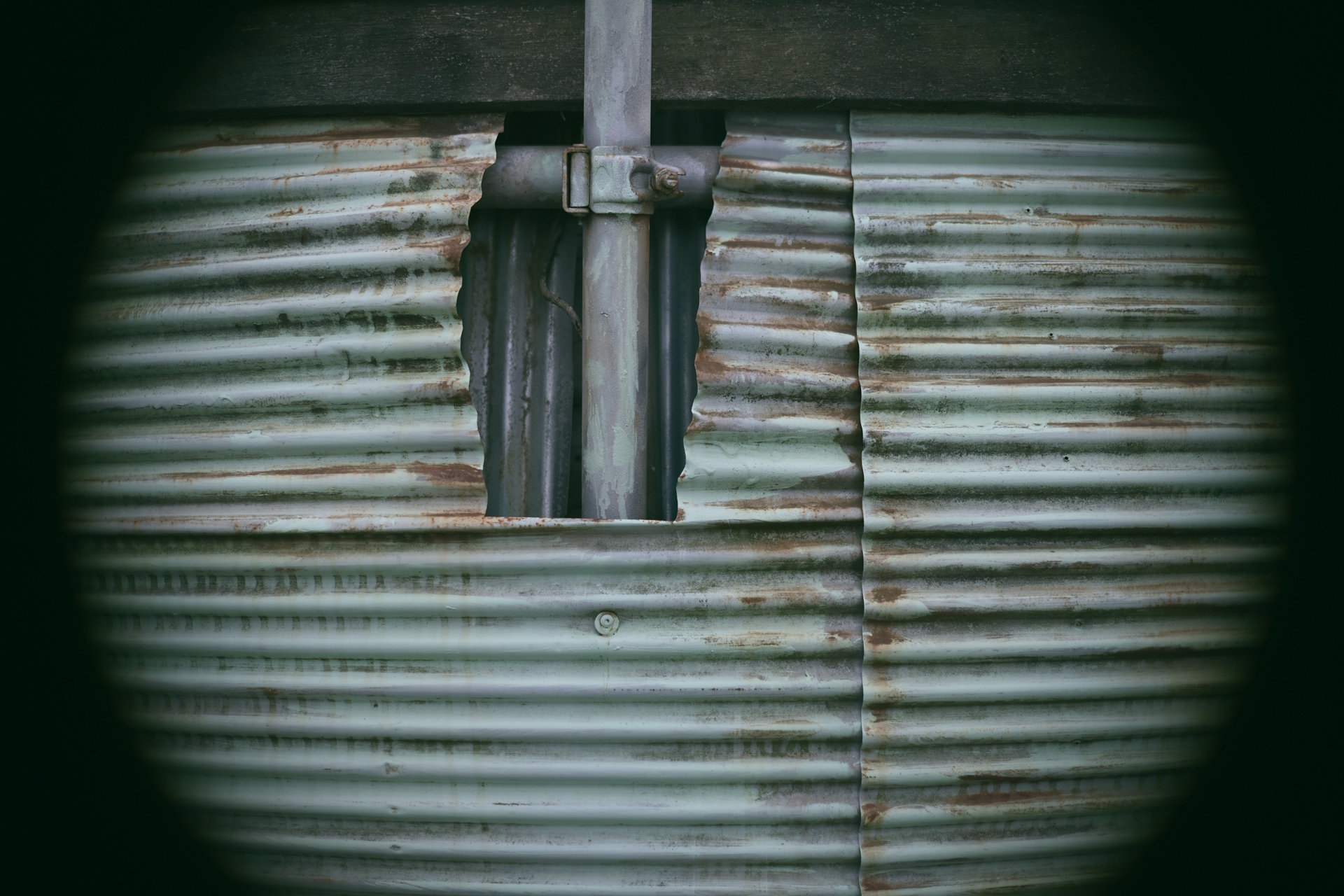 イメージサークル不足のケラレがはっきり見える例<br>Z f／NOKTON D35mm F1.2／絞り優先AE（F2・1/1,250秒）／ISO 100／FXフォーマット撮影