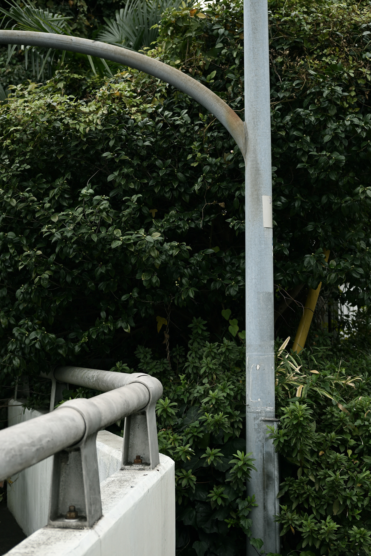 Z f／NOKTON D35mm F1.2／絞り優先AE（F3.2・1/80秒・-1EV）／ISO 100／50mm相当（DX）／クリエイティブピクチャーコントロール：［08］ブリーチ