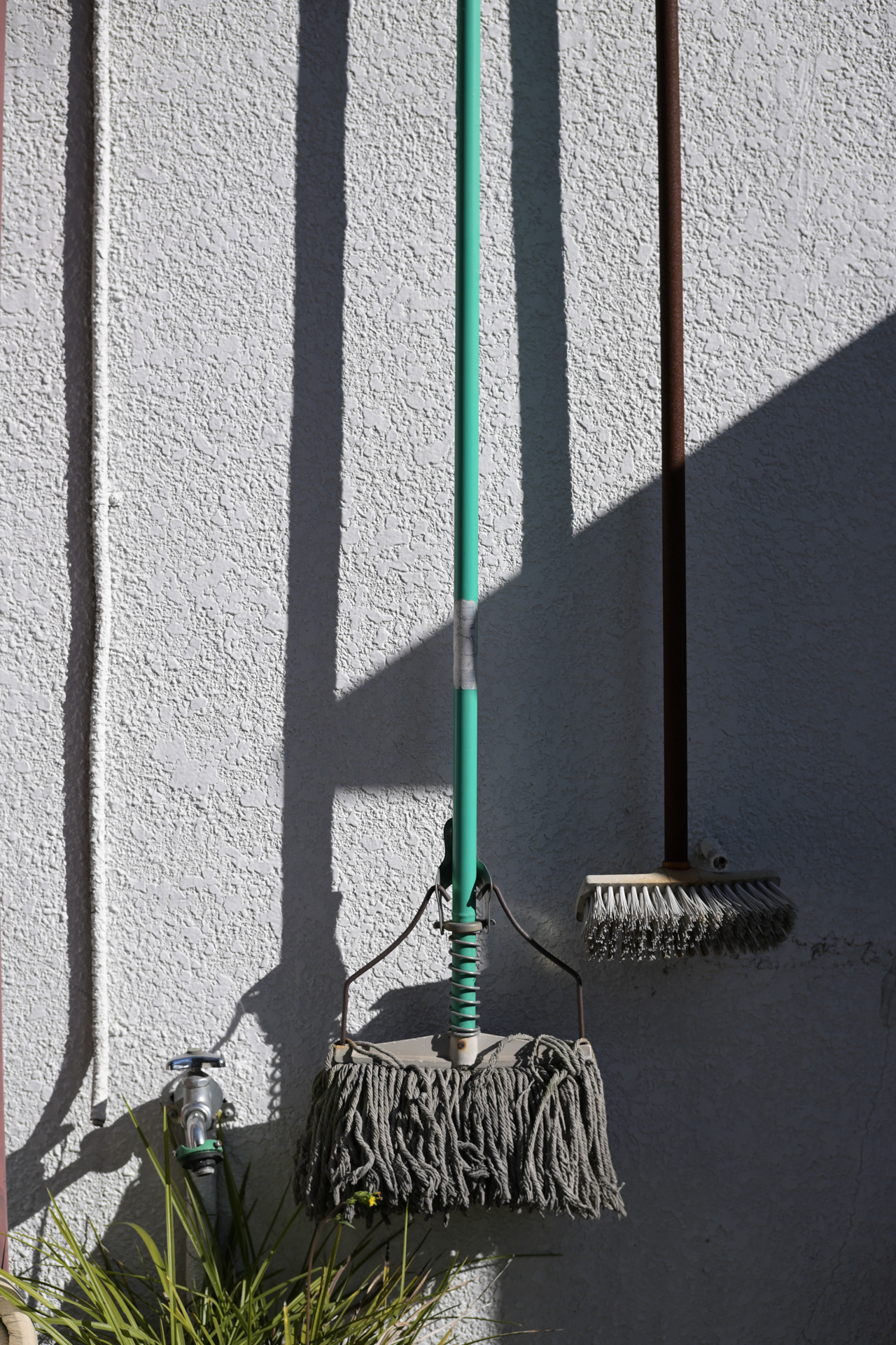 Z fc／NOKTON D35mm F1.2／絞り優先AE（F4.5・1/1,000秒）／ISO 100／50mm相当／ピクチャーコントロール：［NL］ニュートラル