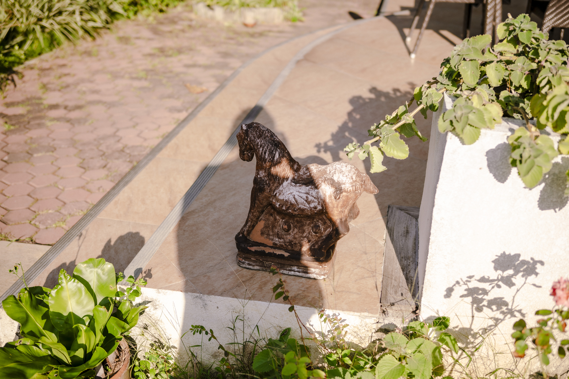 フィリピンで滞在していたコンドミニアムで撮影した一枚。ロビーや庭など至るところに馬の置物があり、午年の私としてはなんとなく親しみが感じられた<br>Z 8／NIKKOR Z 40mm f/2／絞り優先AE（40mm・1/2,000秒・F2.8・±0）ISO 100