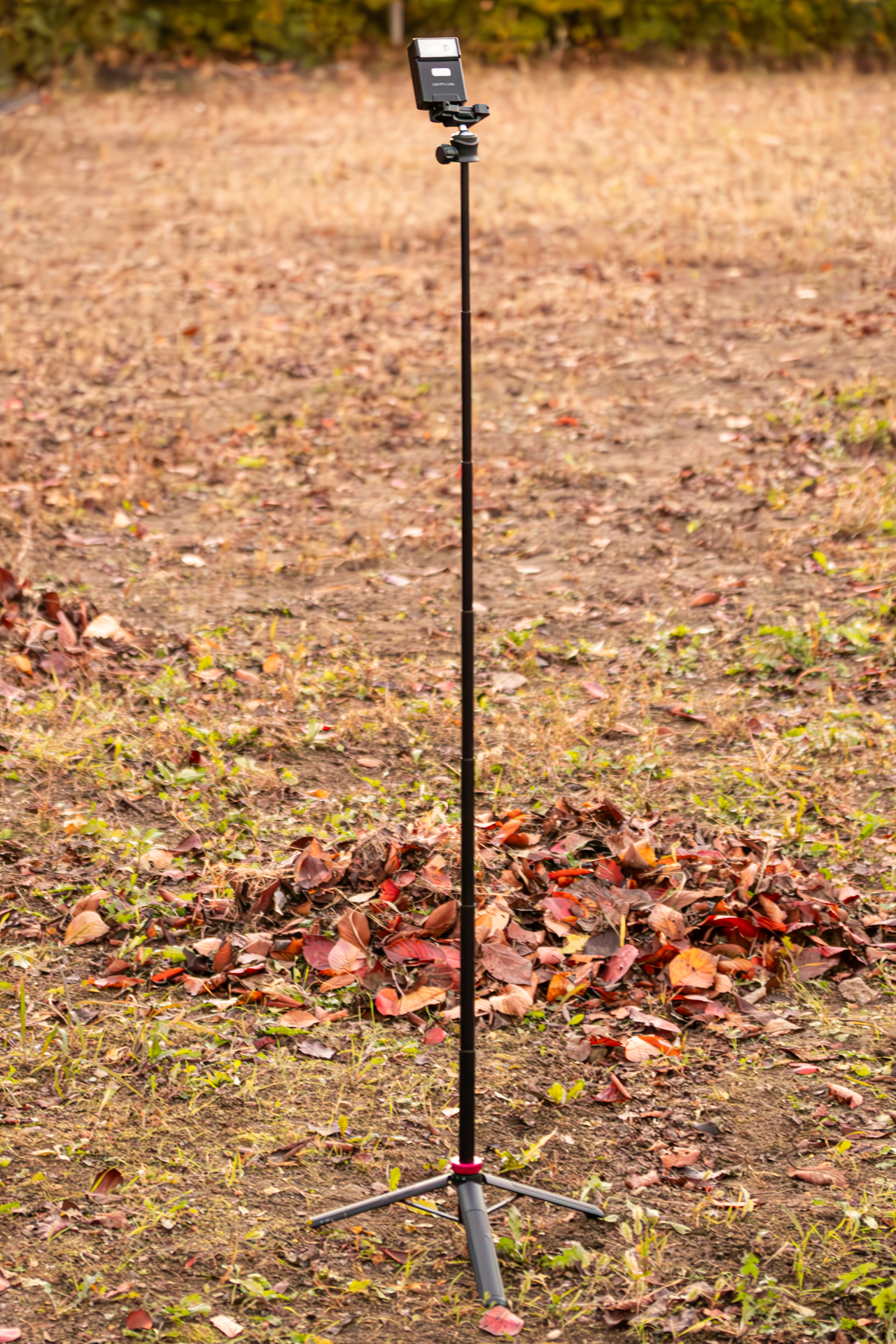 最大に伸ばしたところ