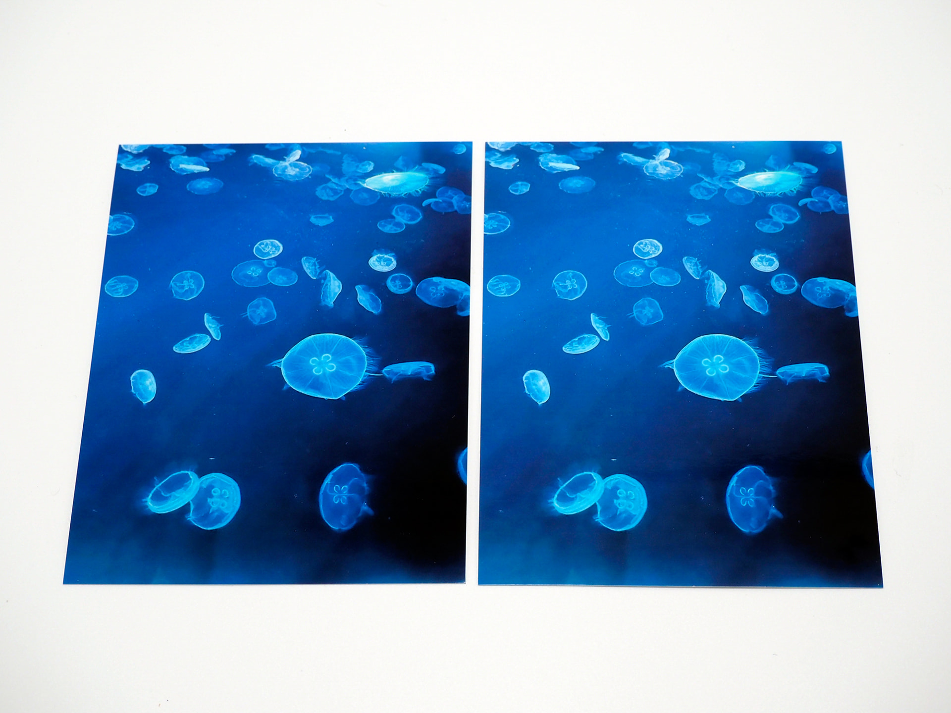 「写真用紙クリスピア＜高光沢＞」（左）と「写真用紙〈光沢〉」（右）の比較