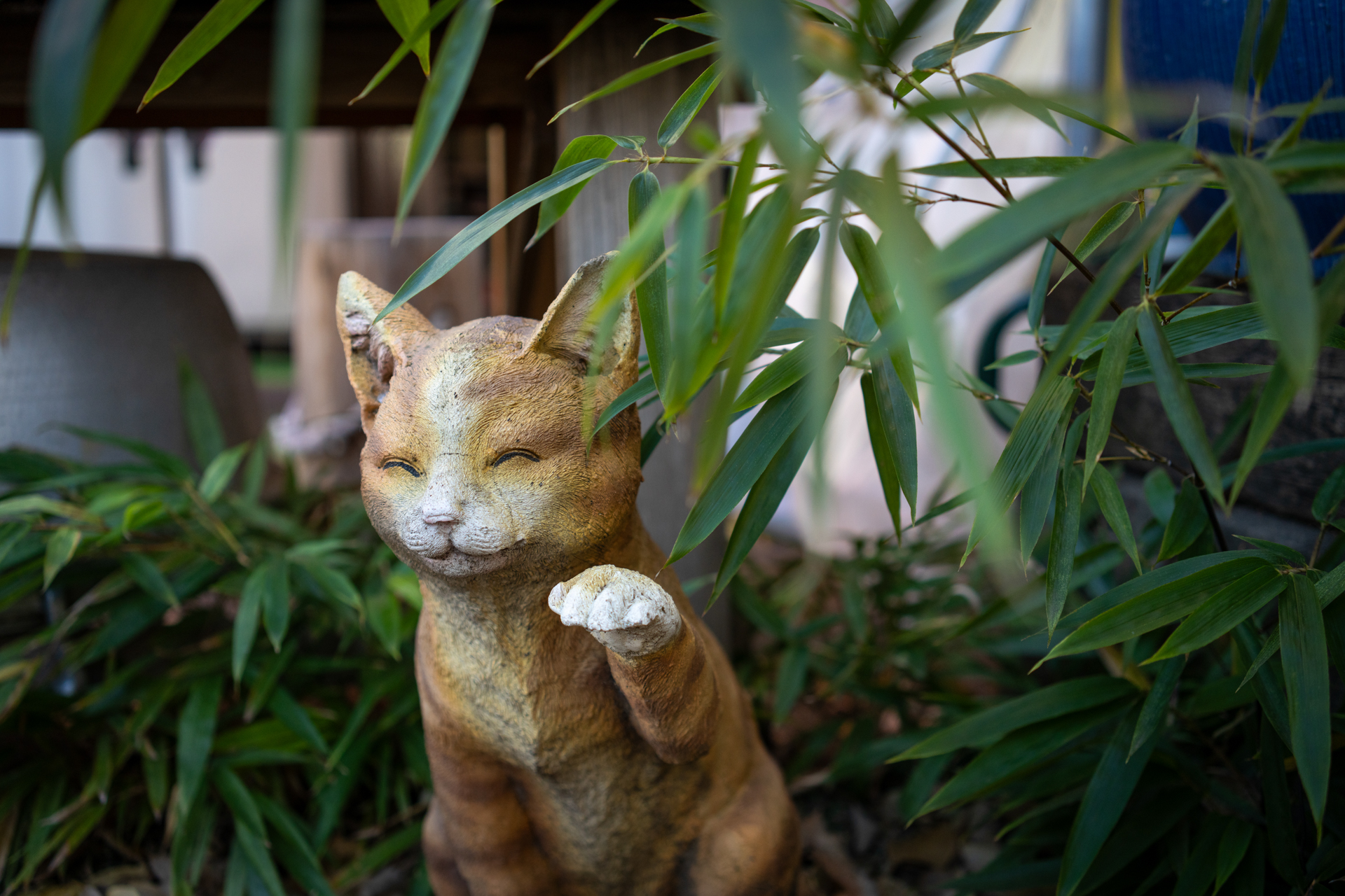 路地を歩いていて、あ、猫がいると思ったら。これでした。日陰ですが華美な再現に走らず。見た目の印象に近い色再現で、あえて盛っていないところがいいですね<br>α7CR／Sonnar T* FE 35mm F2.8 ZA／絞り優先AE（F3.2・1/640秒・-0.7EV）／ISO 400