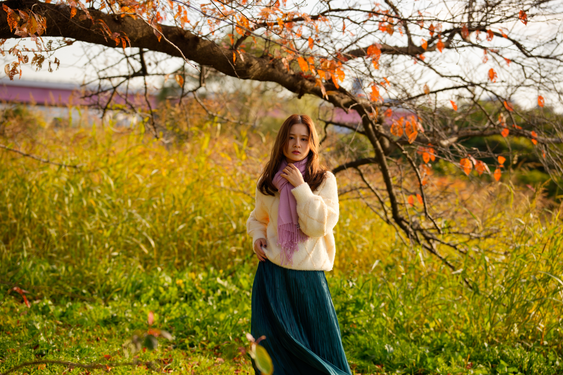 α1／SIGMA 70-200mmF2.8 DG DN OS｜Sports／90mm／絞り優先（1/640秒、F3.5、-1.0EV）／ISO 100