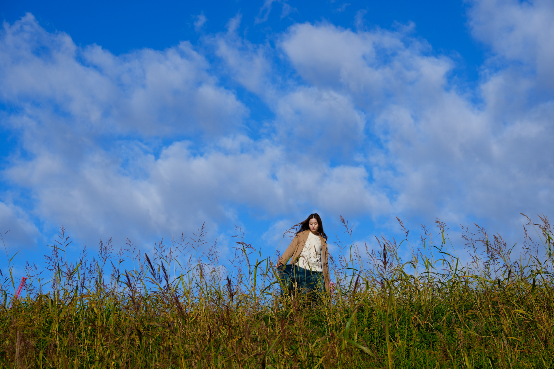 α1／SIGMA 70-200mmF2.8 DG DN OS｜Sports／70mm／絞り優先（1/640秒、F7.1、±0.0EV）/ISO 100