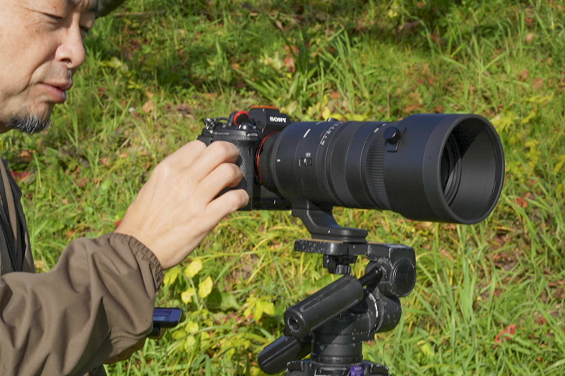 ポートレート撮影で検証！「SIGMA 70-200mmF2.8 DG DN OS｜Sports」の