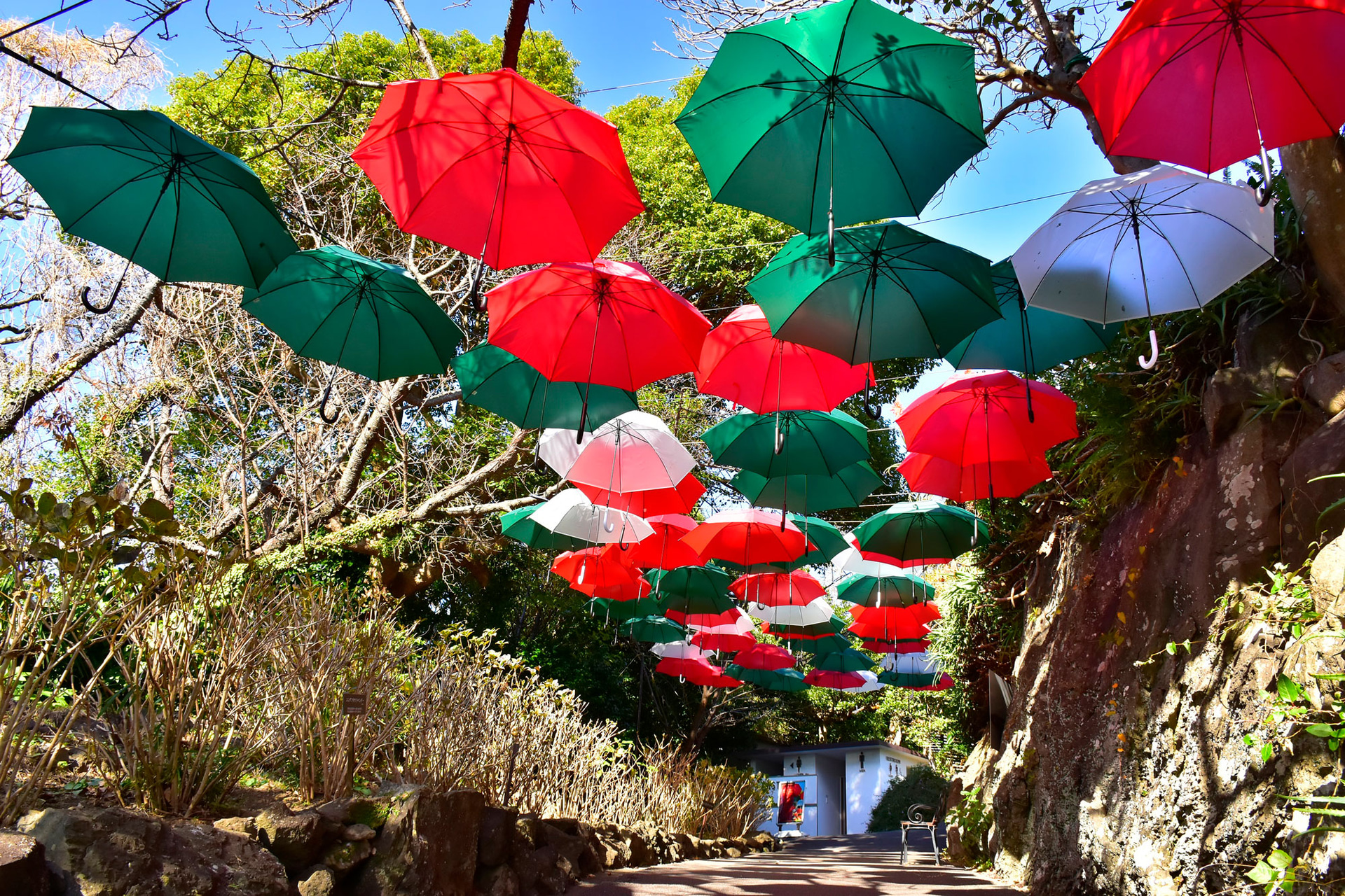 アンブレラスカイは12月25日（月）までクリスマスバージョンになっている