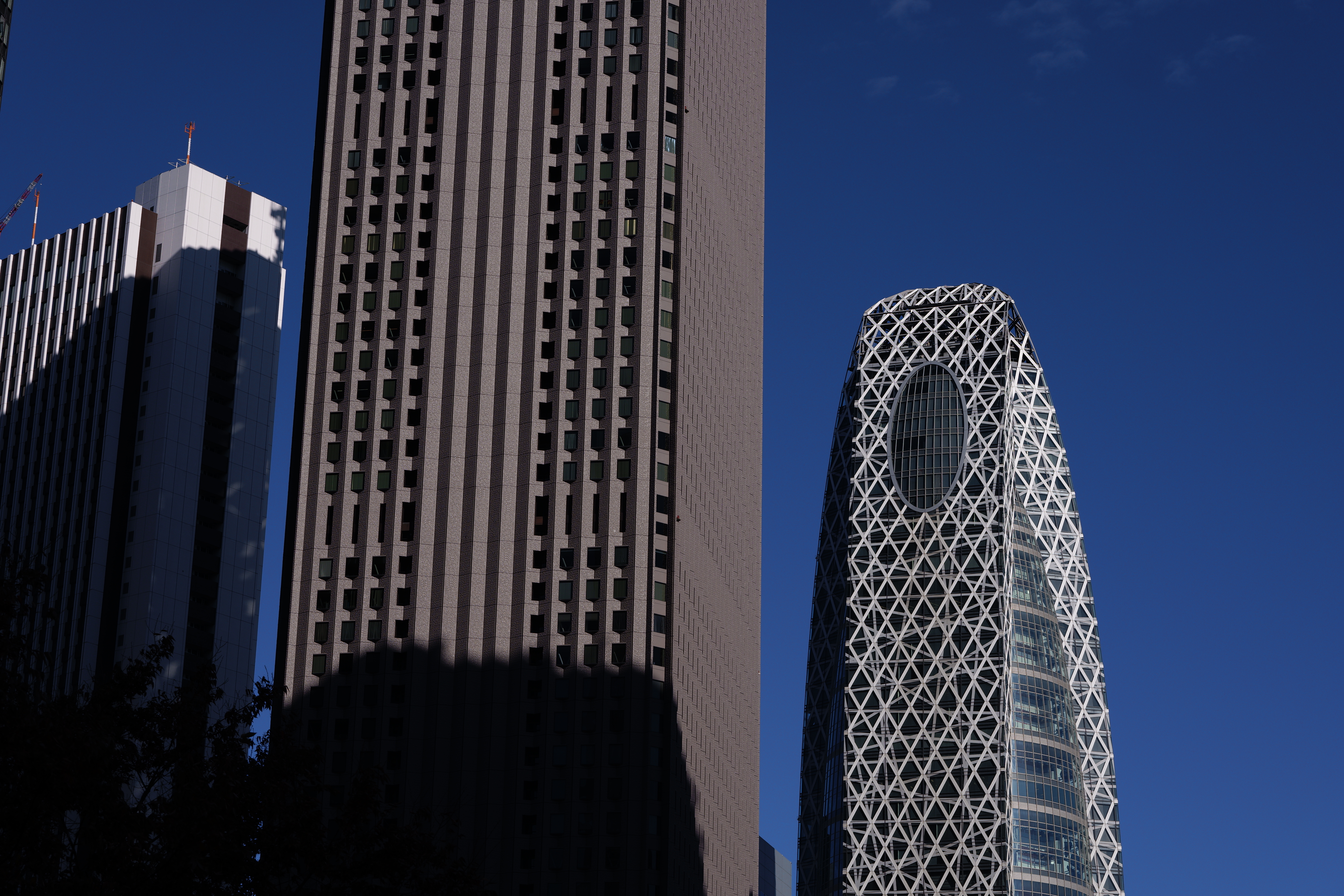 SIGMA fp／SIGMA 70-200mm F2.8 DG DN OS｜Sports／70mm／絞り優先AE（1/800秒、F8.0、−1.0EV）／ISO 100