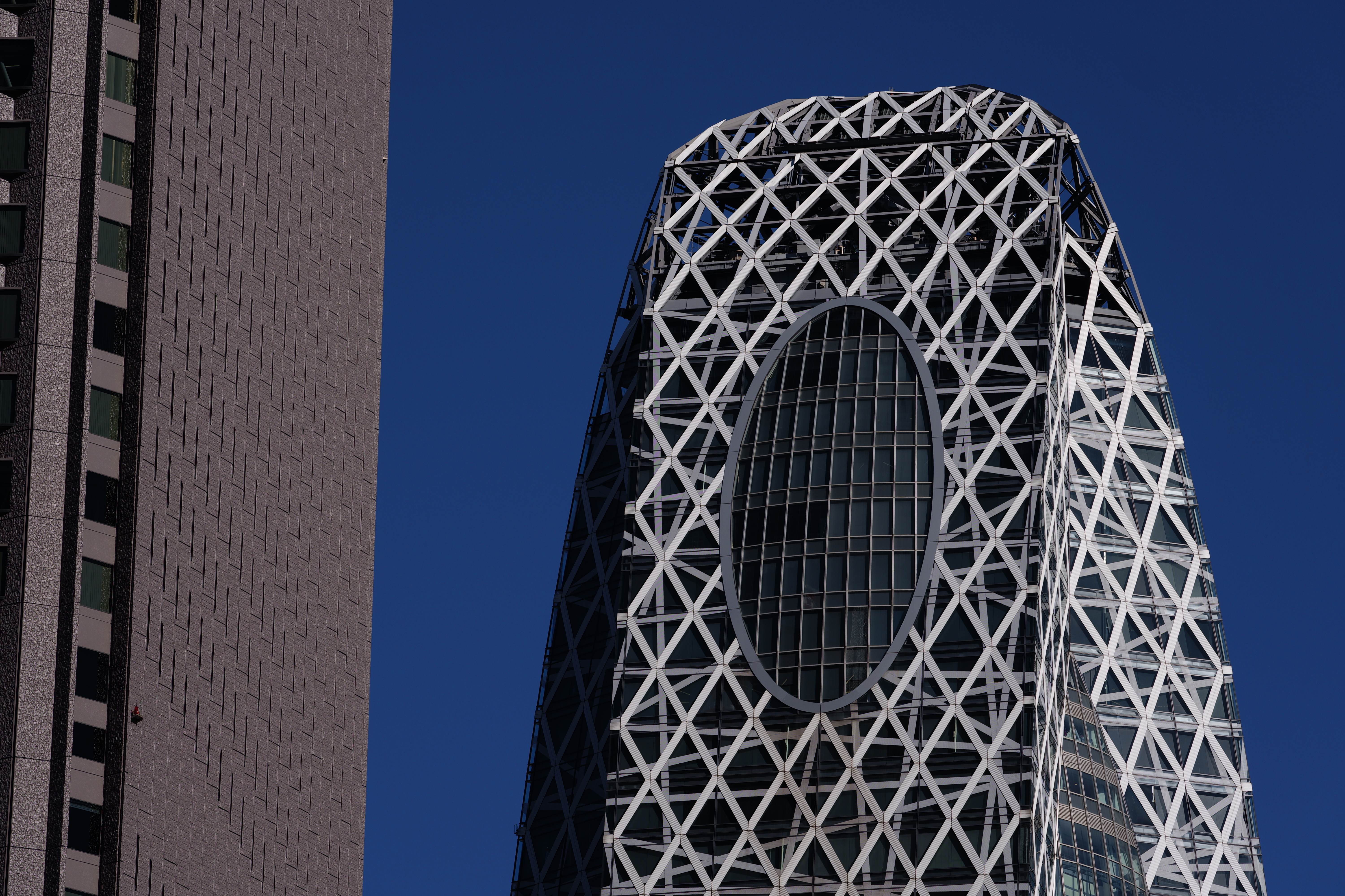 SIGMA fp／SIGMA 70-200mm F2.8 DG DN OS｜Sports／200mm／絞り優先AE（1/800秒、F8.0、−1.0EV）／ISO 100