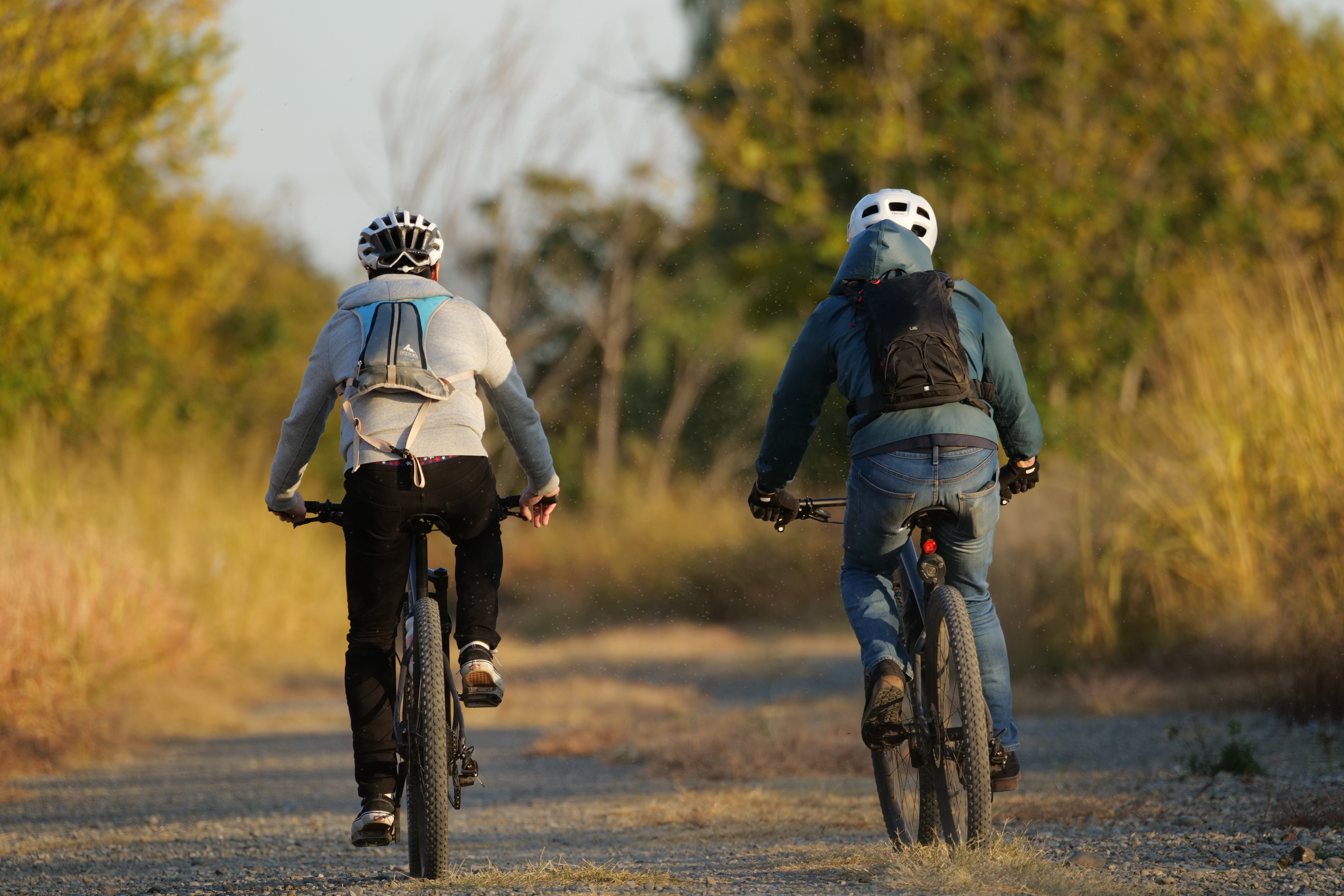 LUMIX S5／SIGMA 70-200mm F2.8 DG DN OS｜Sports＋SIGMA TELE CONVERTER TC-2011／400mm／絞り優先AE（1/1,600秒、F5.6、−0.3EV）／ISO 1250