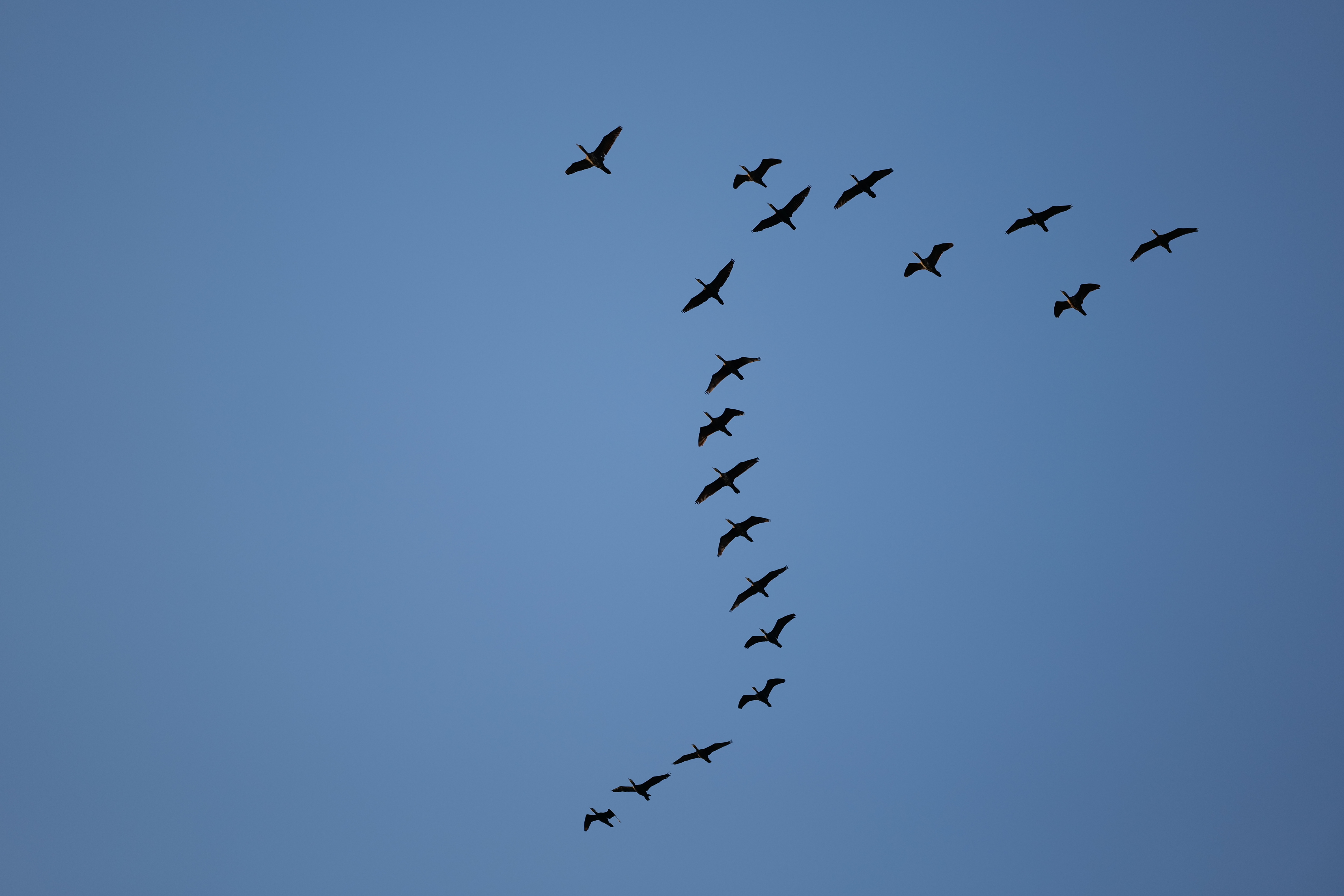 LUMIX S5／SIGMA 70-200mm F2.8 DG DN OS｜Sports／200mm／絞り優先AE（1/1,600秒、F2.8、±0.0EV）／ISO 100