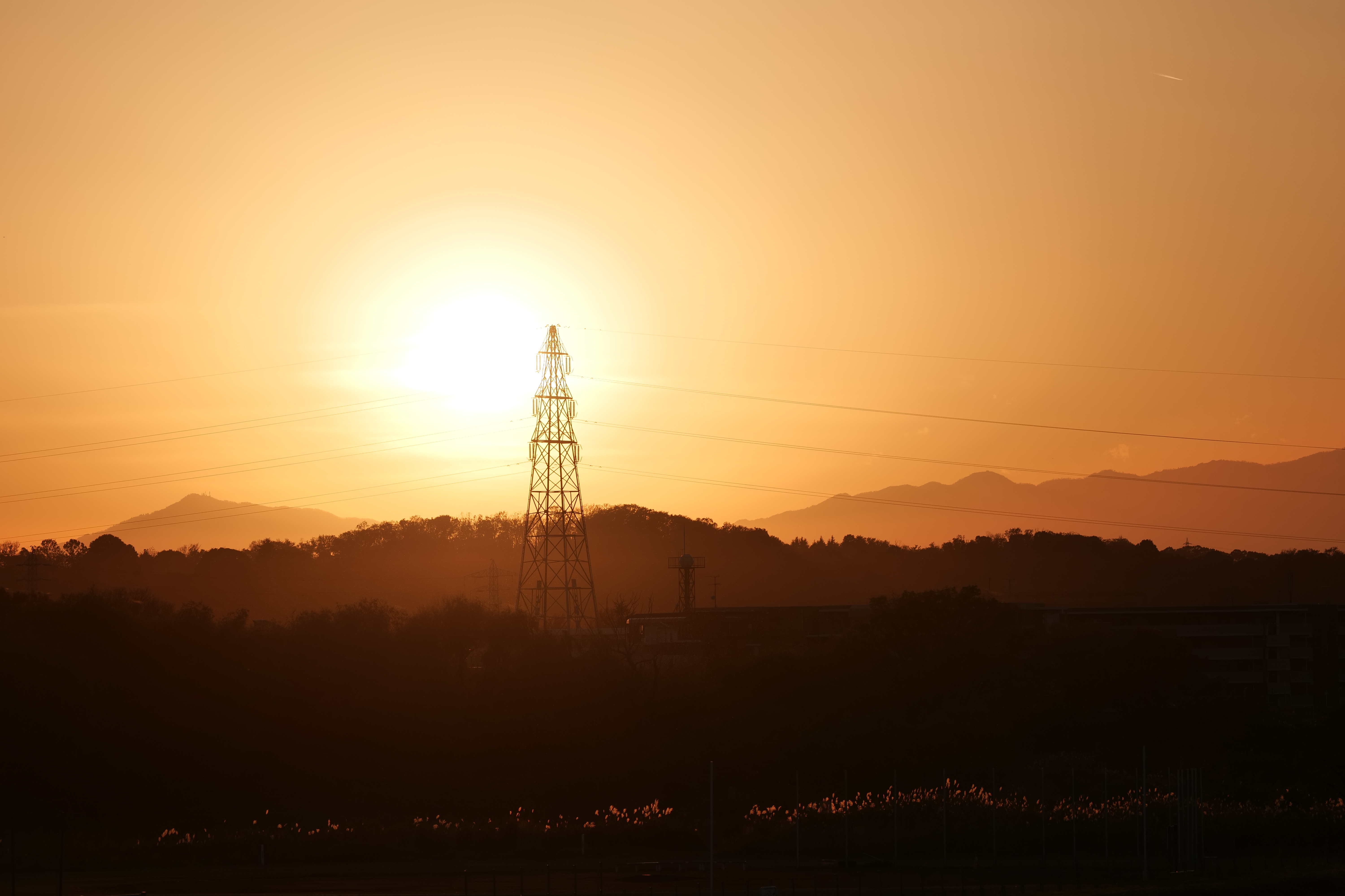 LUMIX S5／SIGMA 70-200mm F2.8 DG DN OS｜Sports／200mm／絞り優先AE（1/2,000秒、F5.6、±0.0EV）／ISO 100