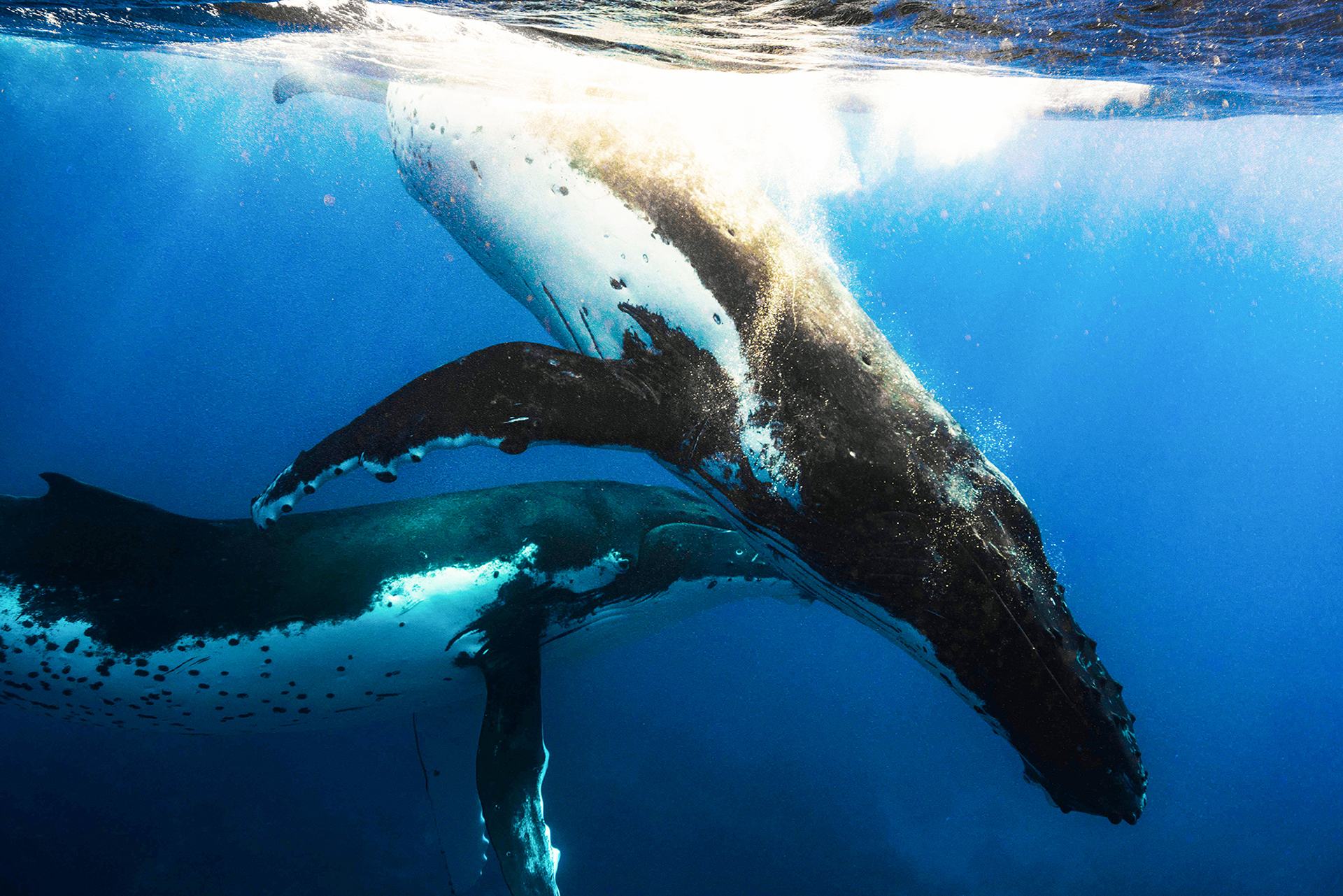 撮影：上田優紀