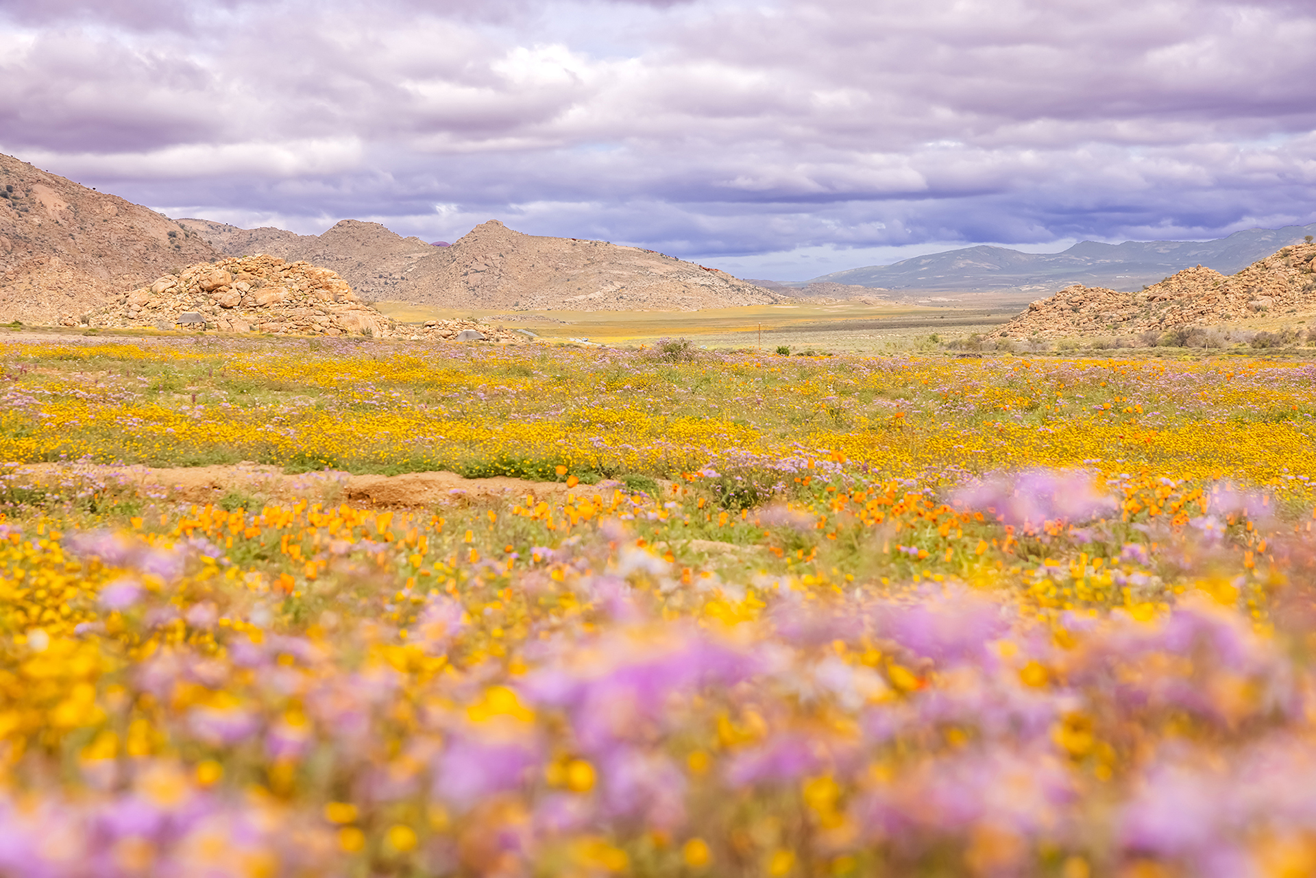 撮影：上田優紀