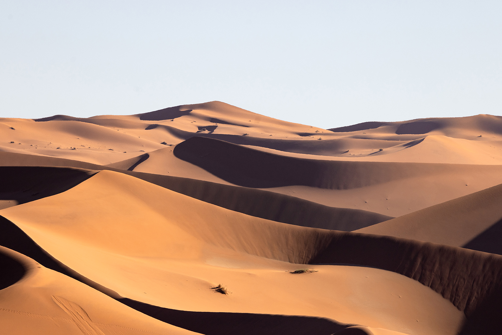 撮影：上田優紀