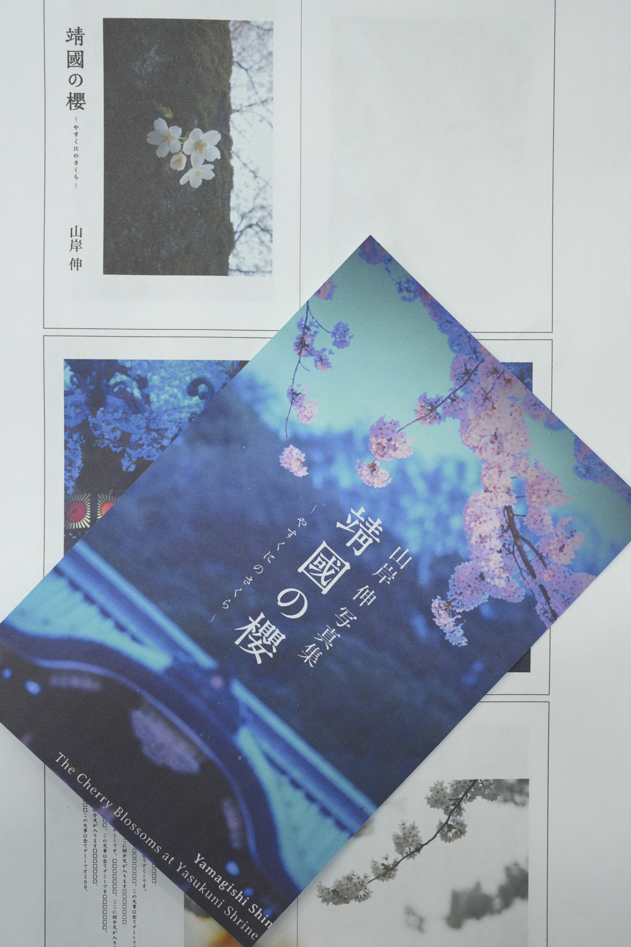 制作中の写真集「靖國の櫻」のデザイン案