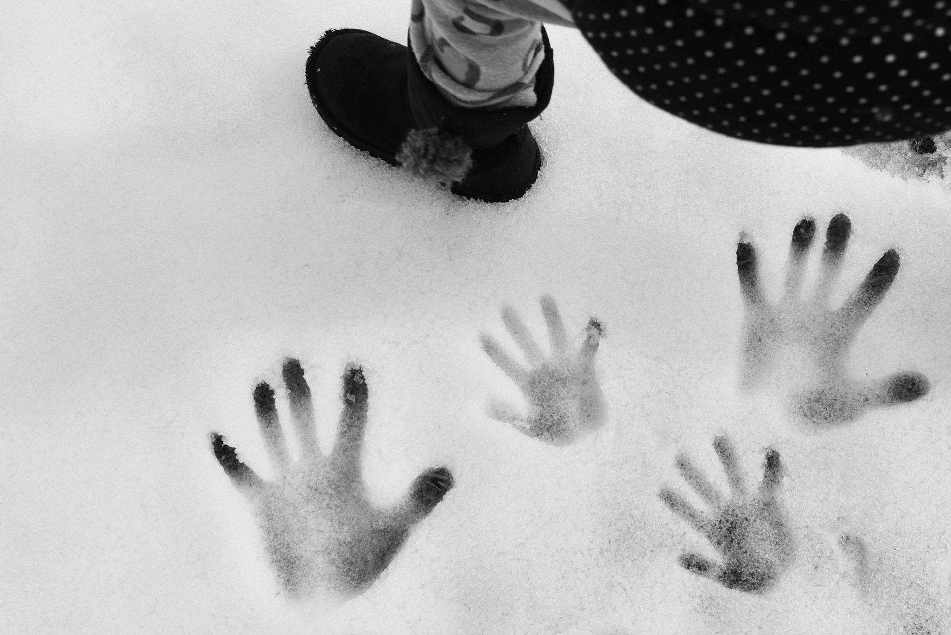 D810／AF-S NIKKOR 24-120mm f/4G ED VR／35mm／絞り優先AE（1/500秒・F5・+0.7EV）／ISO 64／WB：オート	https://ganref.jp/m/chyoropon/portfolios/photo_detail/2299154